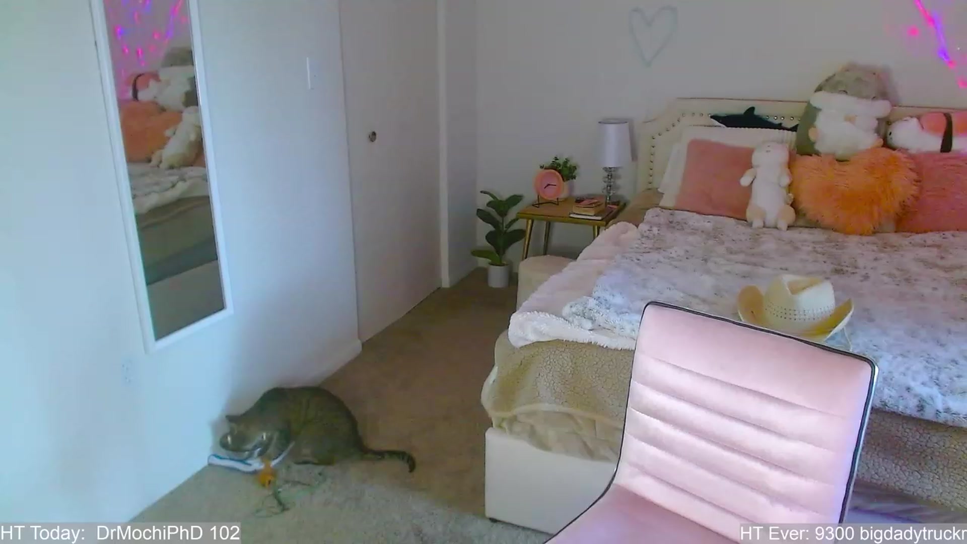Gallery image thumbnail from MangoMae's myfreecams stream on, 07/29/2023, 24:20 image 18 of 20