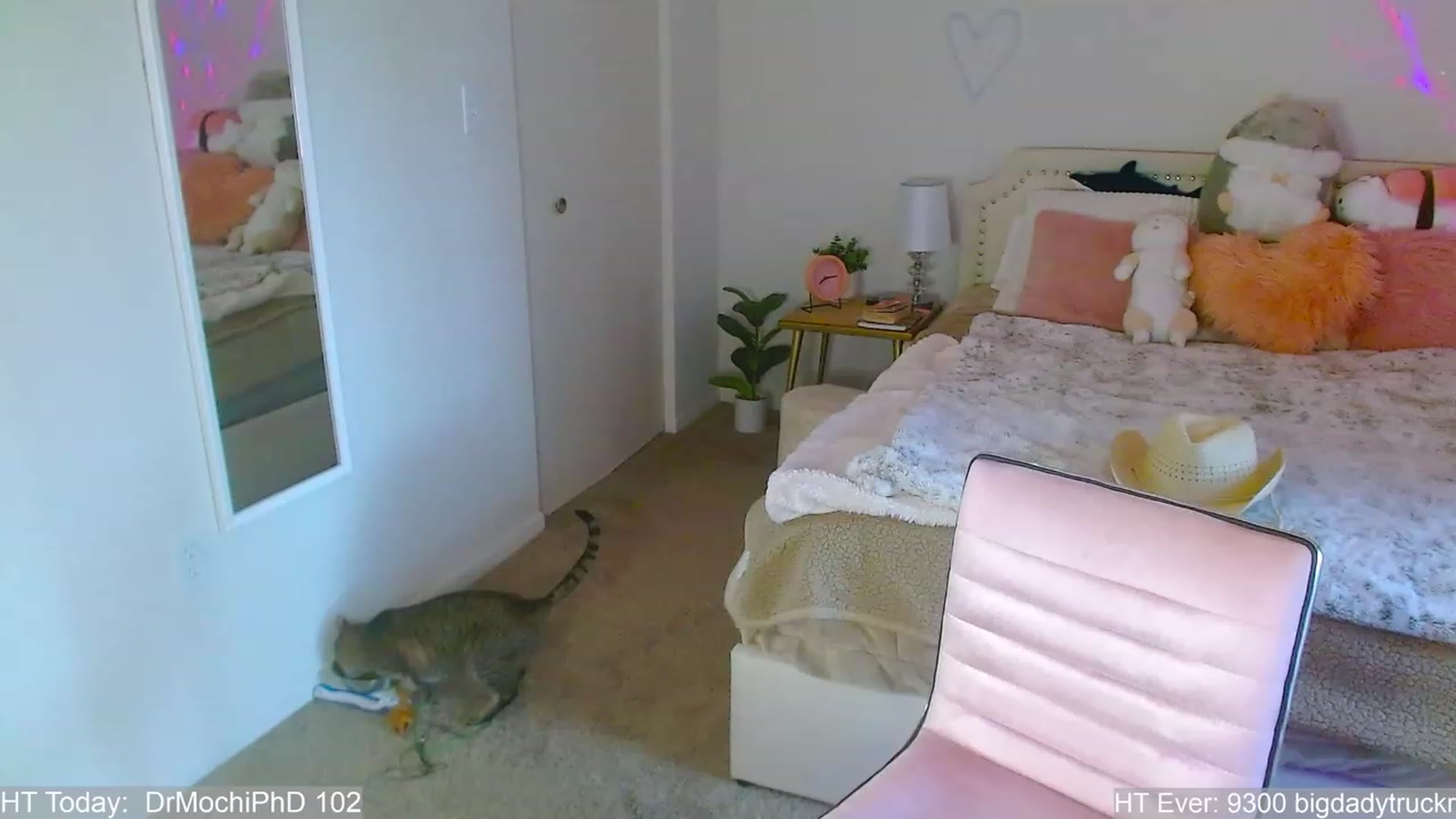 Gallery image thumbnail from MangoMae's myfreecams stream on, 07/29/2023, 24:20 image 15 of 20