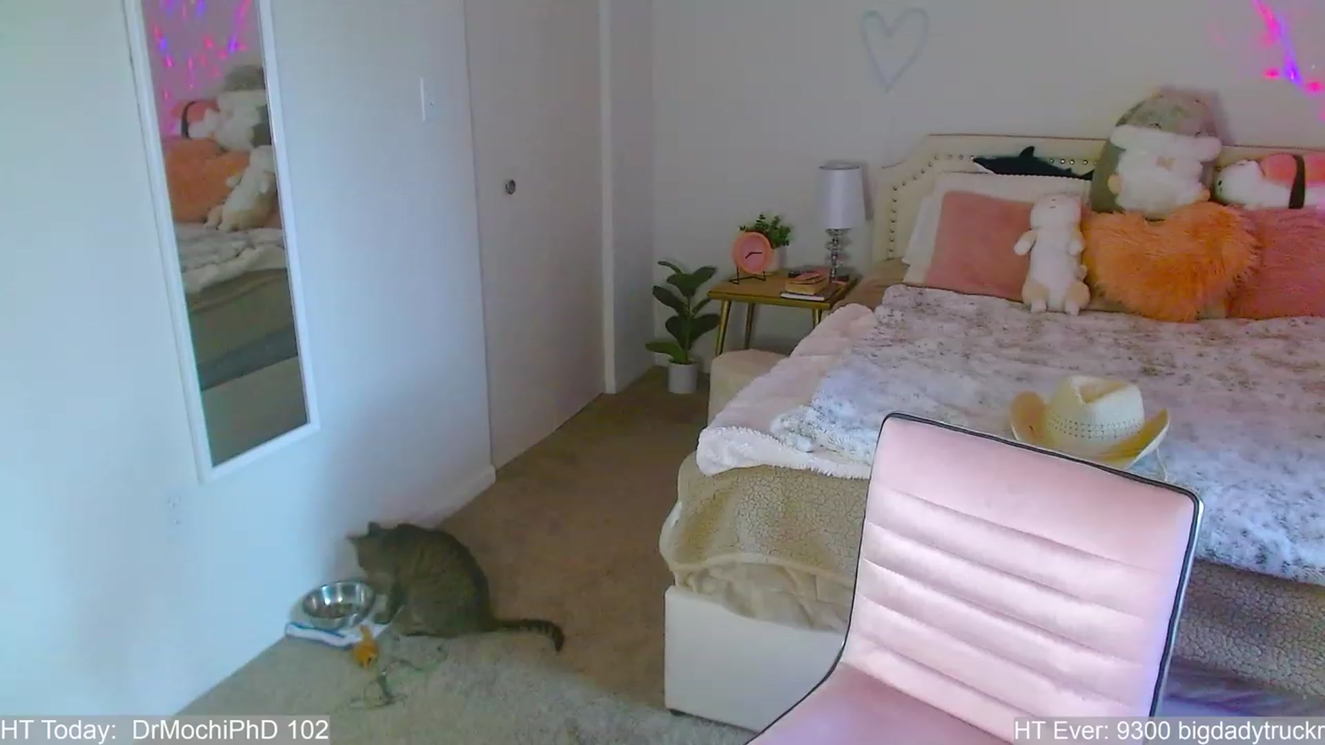 Gallery image thumbnail from MangoMae's myfreecams stream on, 07/29/2023, 24:20 image 17 of 20