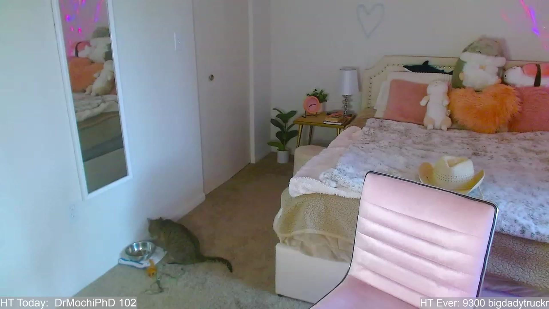Gallery image thumbnail from MangoMae's myfreecams stream on, 07/29/2023, 24:20 image 16 of 20