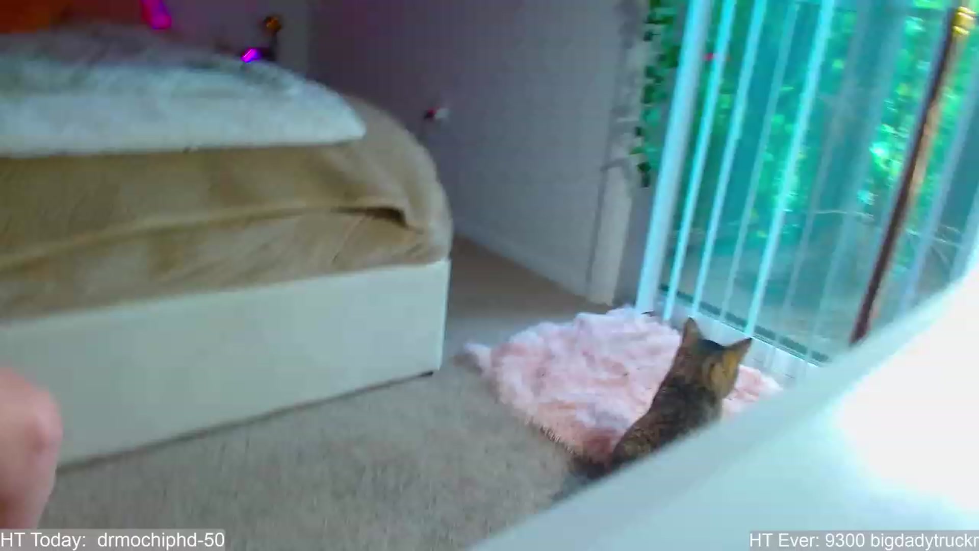 Gallery image thumbnail from MangoMae's myfreecams stream on, 08/06/2023, 18:31 image 12 of 20