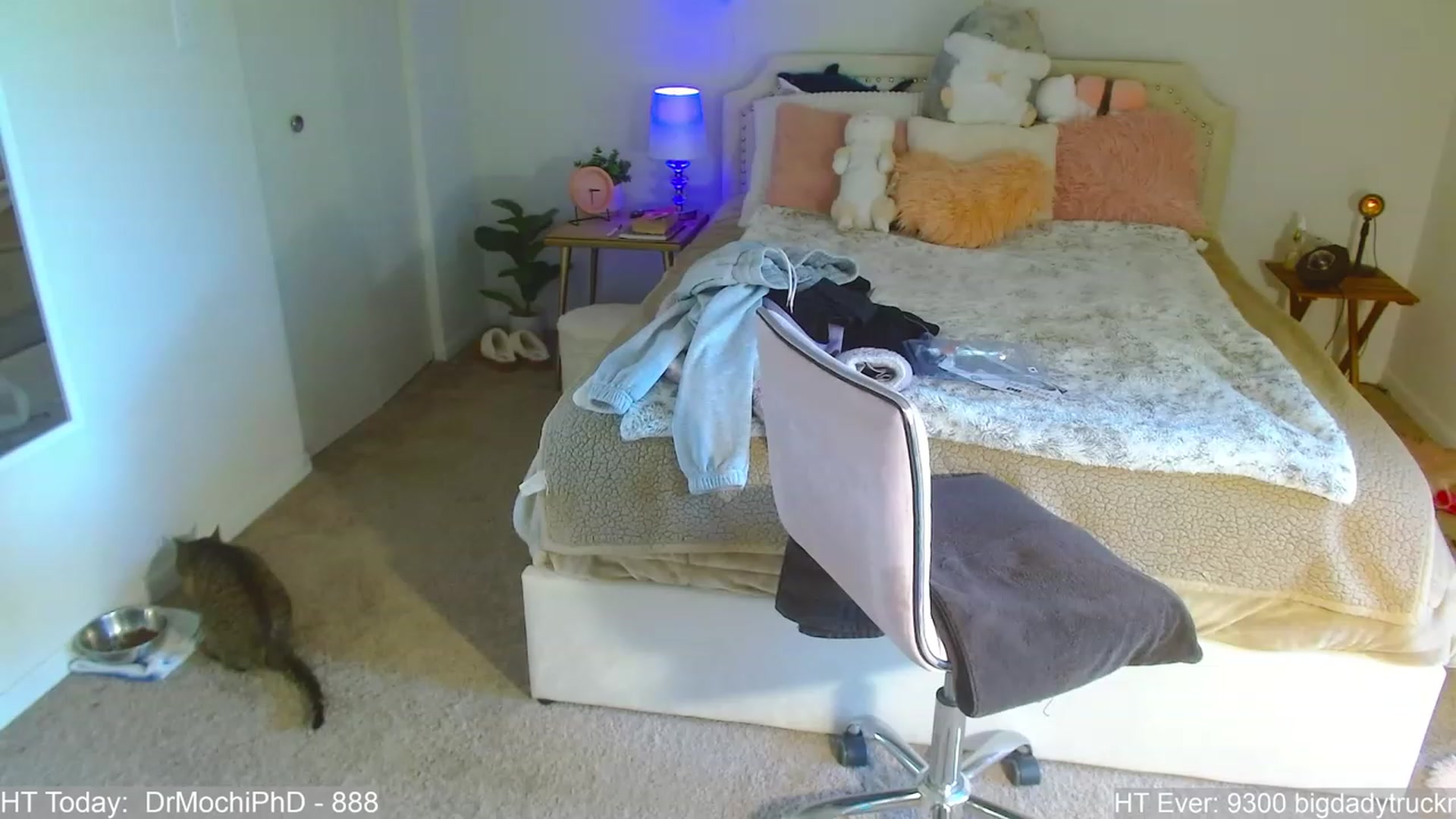 Gallery image thumbnail from MangoMae's myfreecams stream on, 08/12/2023, 19:40 image 16 of 20