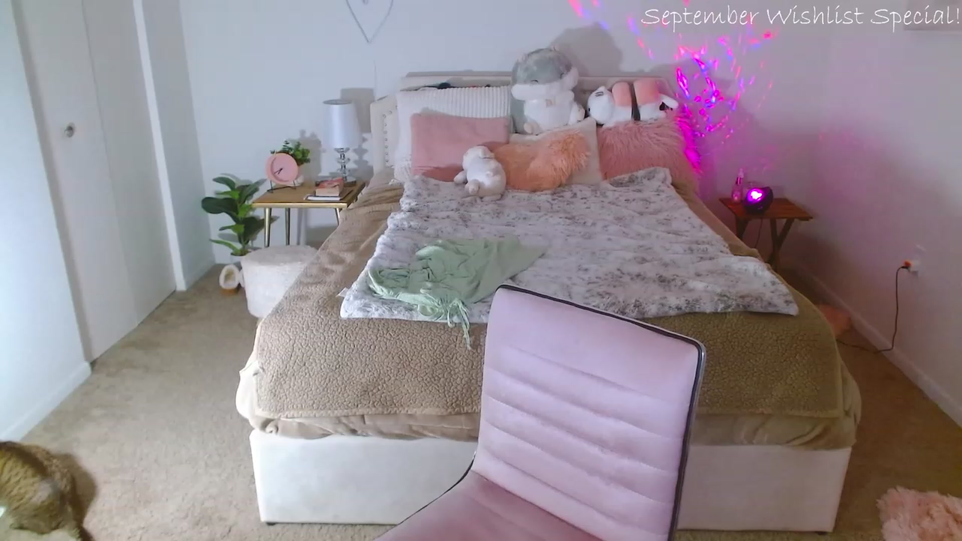 Gallery image thumbnail from MangoMae's myfreecams stream on, 09/11/2023, 23:43 image 18 of 20