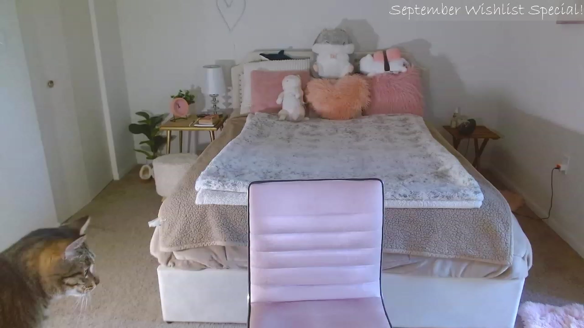 Gallery image thumbnail from MangoMae's myfreecams stream on, 09/14/2023, 16:51 image 5 of 20