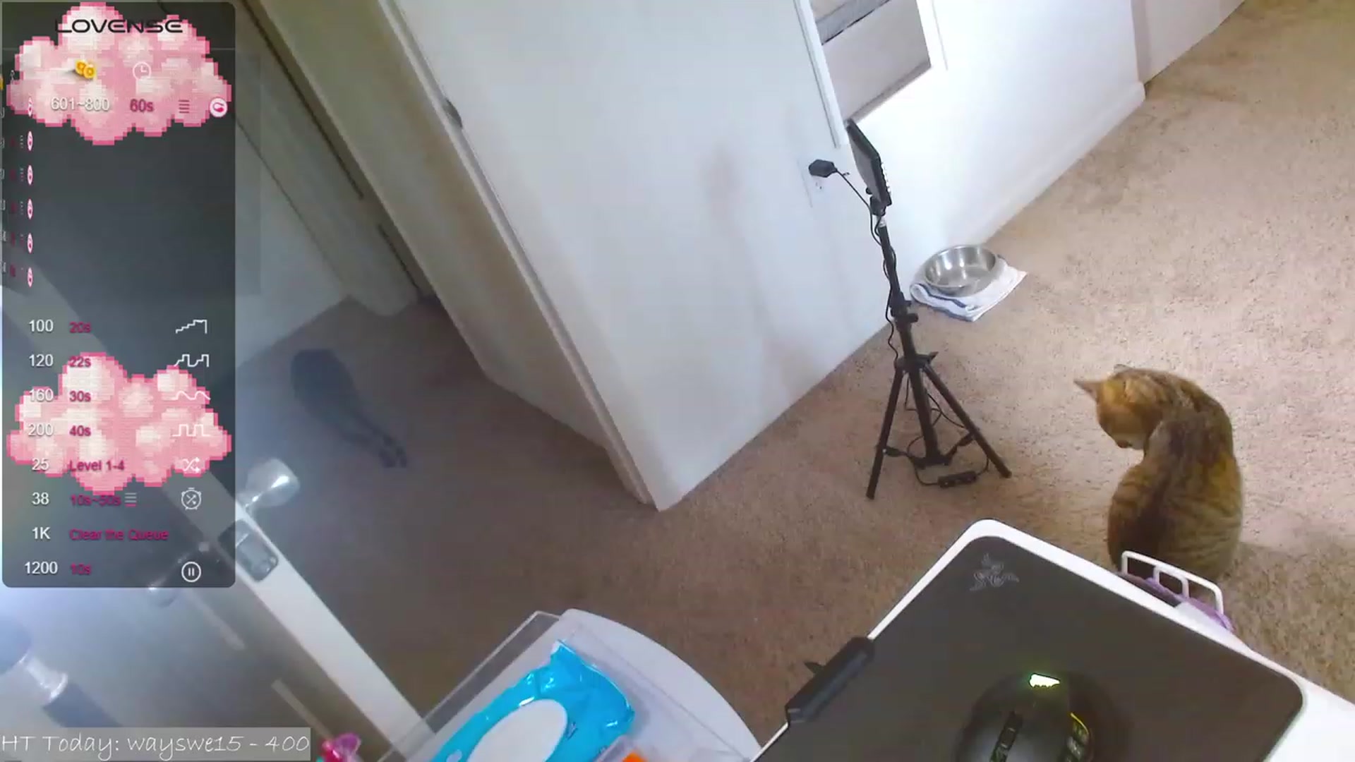 Gallery image thumbnail from MangoMae's myfreecams stream on, 09/17/2023, 17:00 image 11 of 20