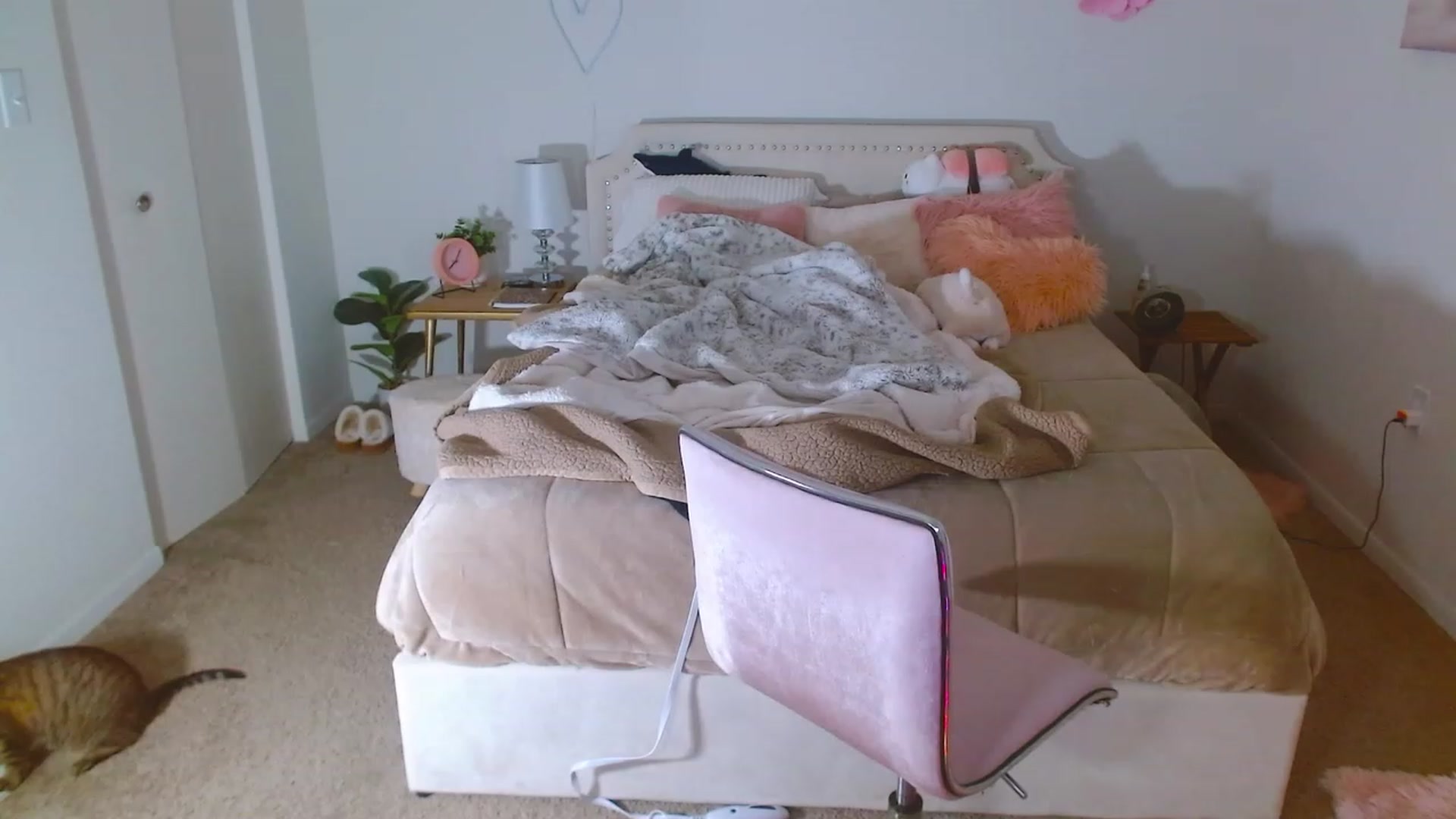 Gallery image thumbnail from MangoMae's myfreecams stream on, 09/23/2023, 24:10 image 17 of 20