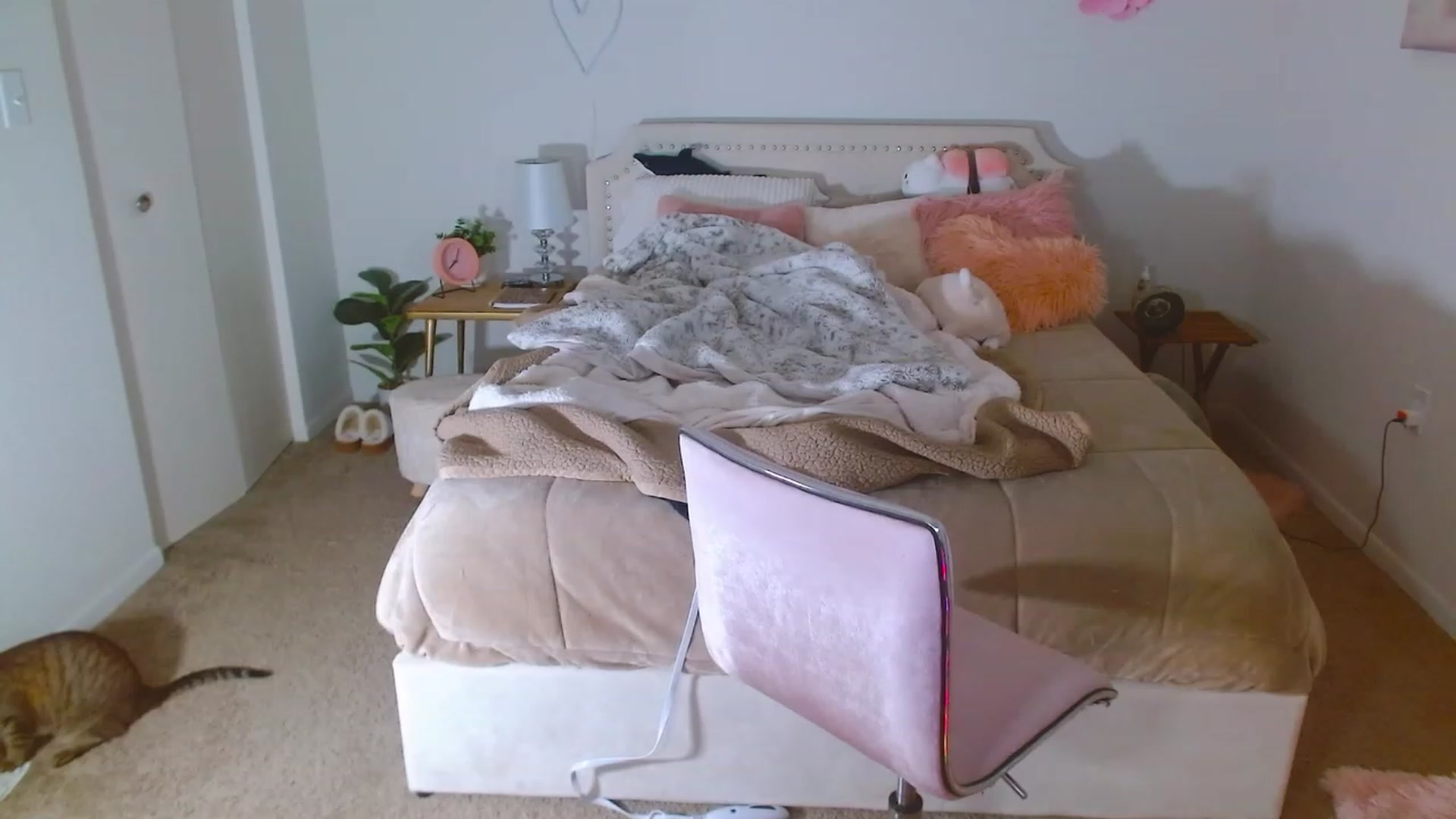 Gallery image thumbnail from MangoMae's myfreecams stream on, 09/23/2023, 24:10 image 16 of 20