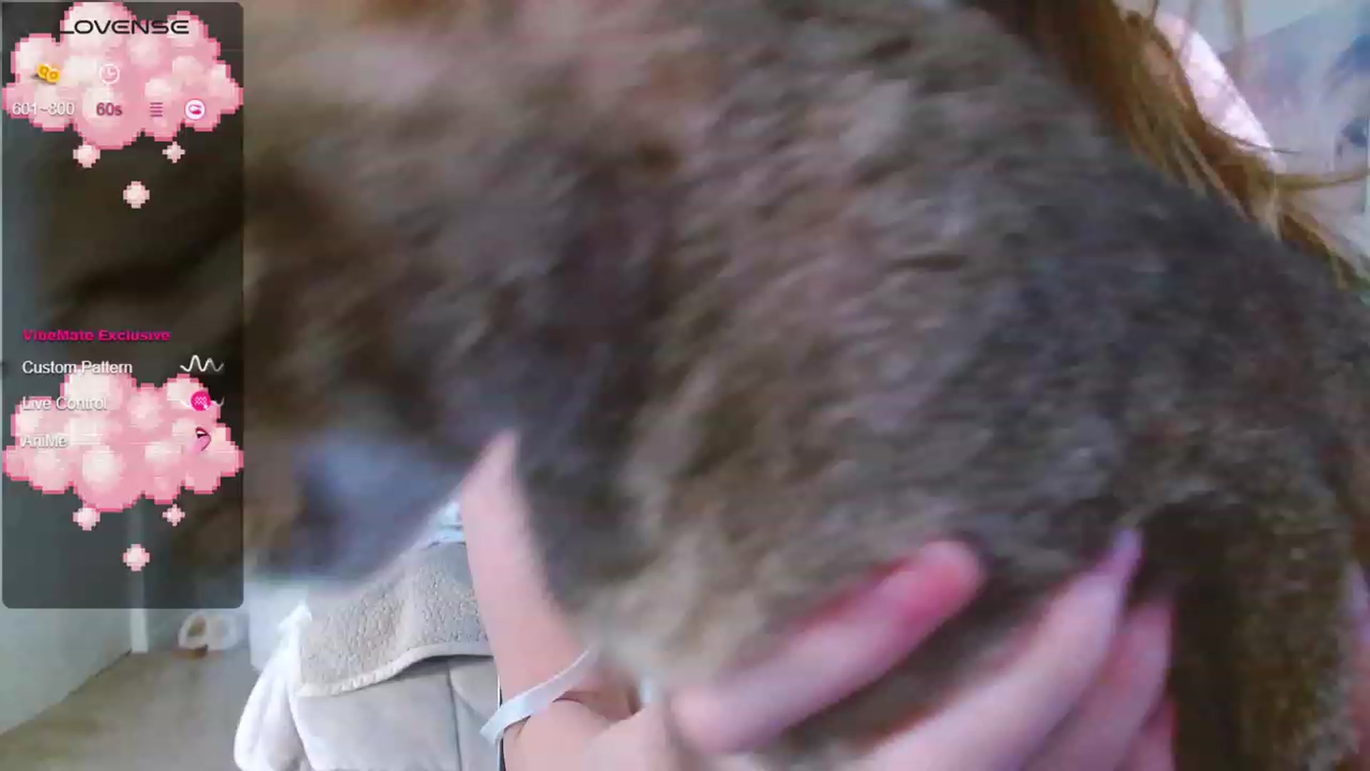 Gallery image thumbnail from MangoMae's myfreecams stream on, 09/23/2023, 17:23 image 17 of 20