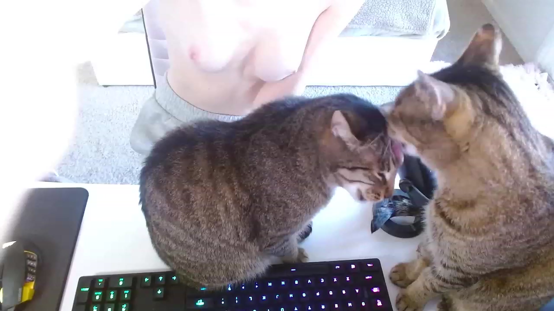 Gallery image thumbnail from MangoMae's myfreecams stream on, 11/05/2023, 18:57 image 17 of 20