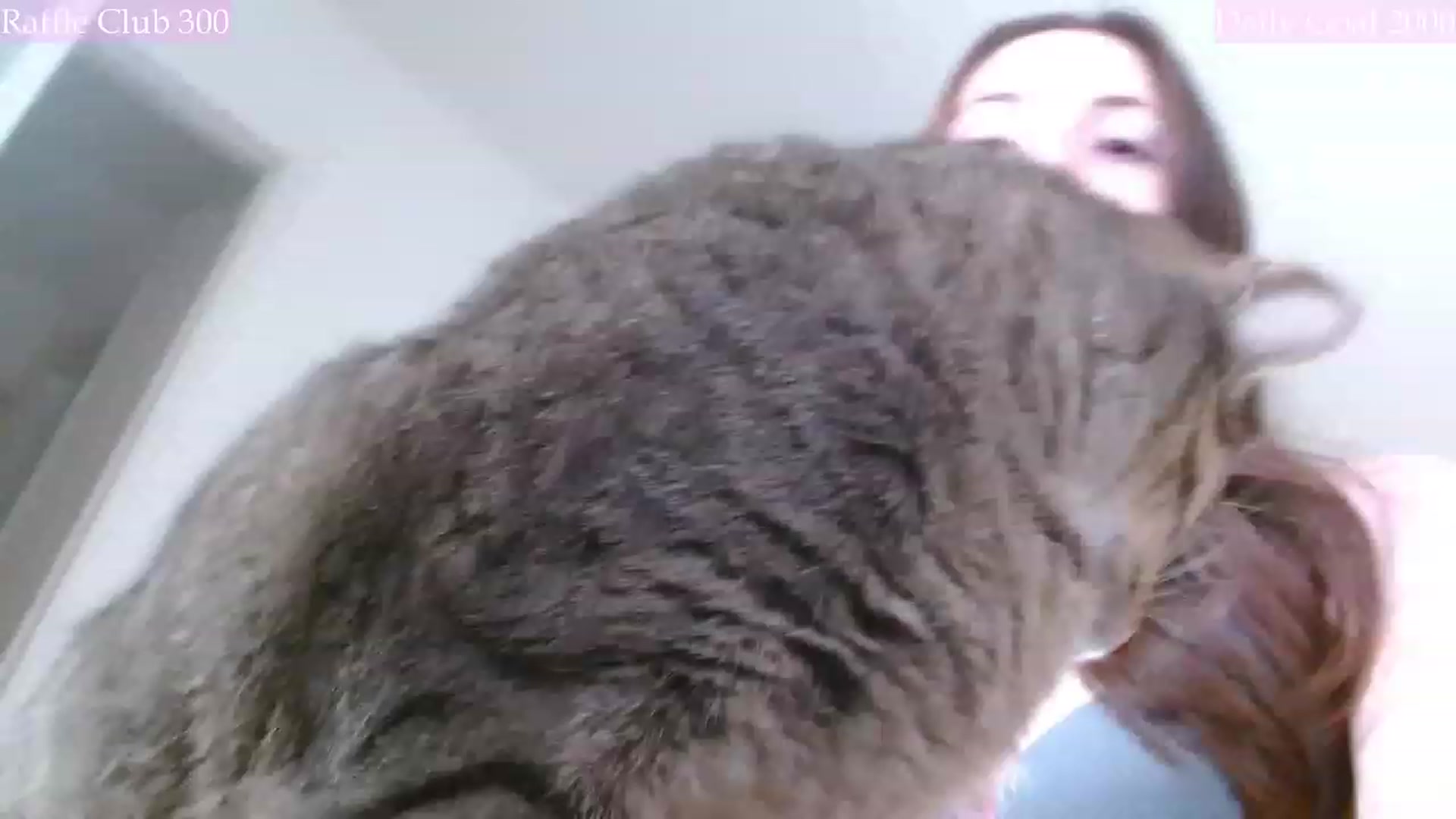 Gallery image thumbnail from MangoMae's myfreecams stream on, 12/07/2023, 01:53 image 14 of 20
