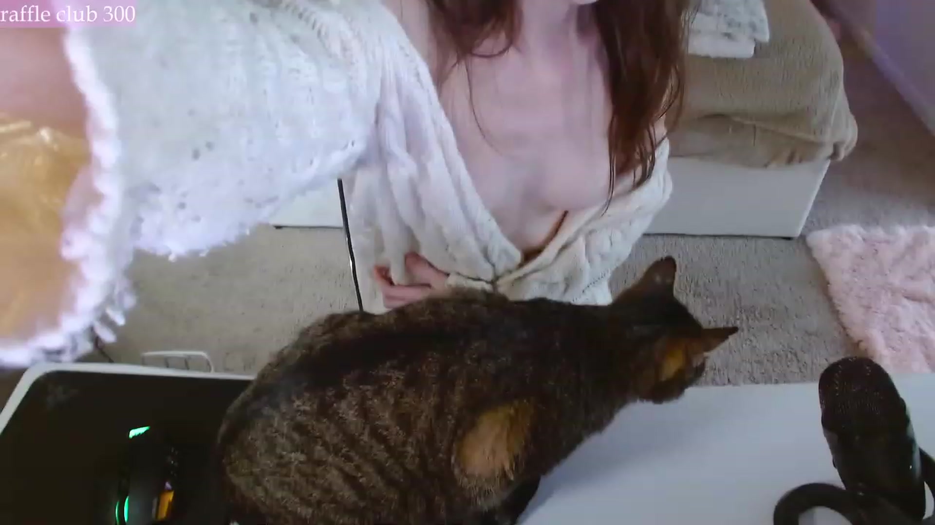 Gallery image thumbnail from MangoMae's myfreecams stream on, 12/10/2023, 20:43 image 7 of 20