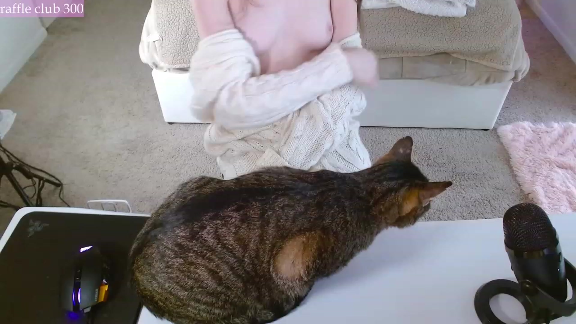 Gallery image thumbnail from MangoMae's myfreecams stream on, 12/10/2023, 20:43 image 8 of 20