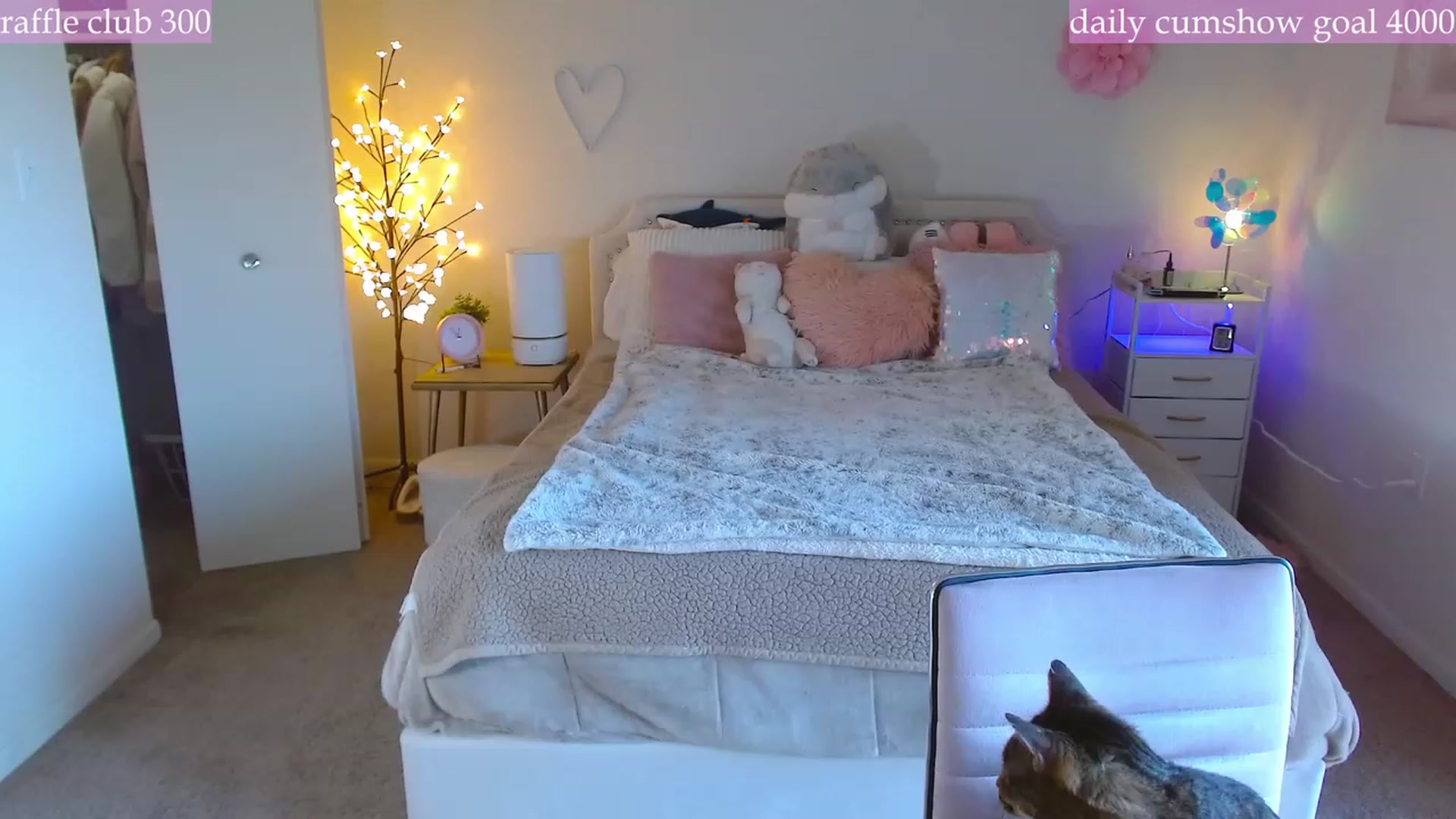 Gallery image thumbnail from MangoMae's myfreecams stream on, 12/15/2023, 18:39 image 4 of 20