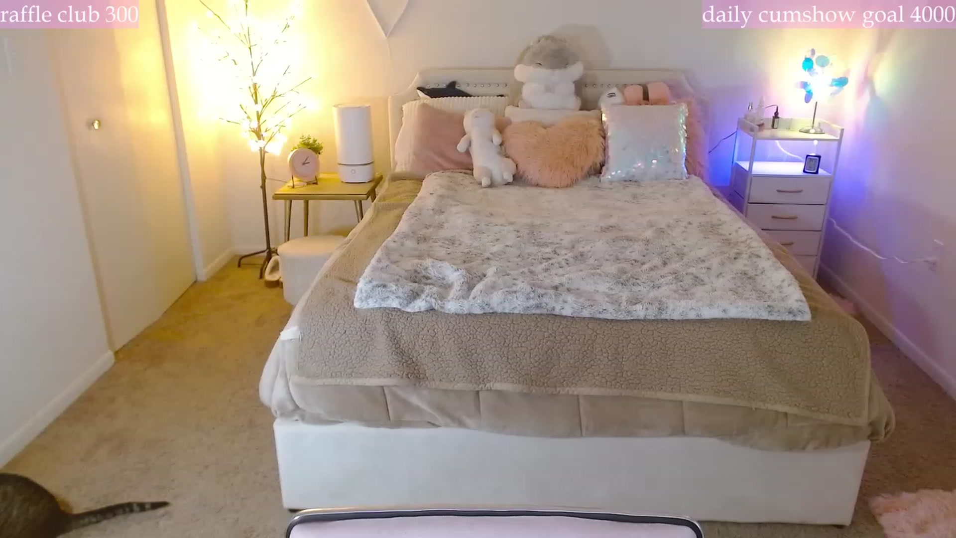 Gallery image thumbnail from MangoMae's myfreecams stream on, 12/17/2023, 20:22 image 18 of 20