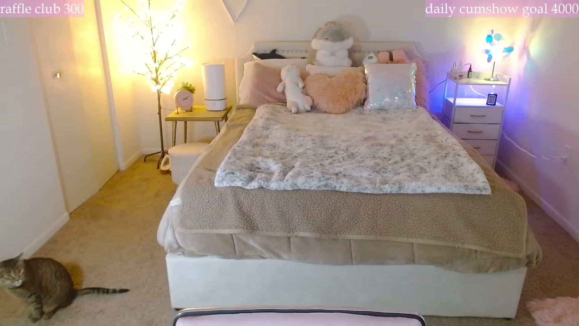 Gallery image thumbnail from MangoMae's myfreecams stream on, 12/17/2023, 20:22 image 19 of 20