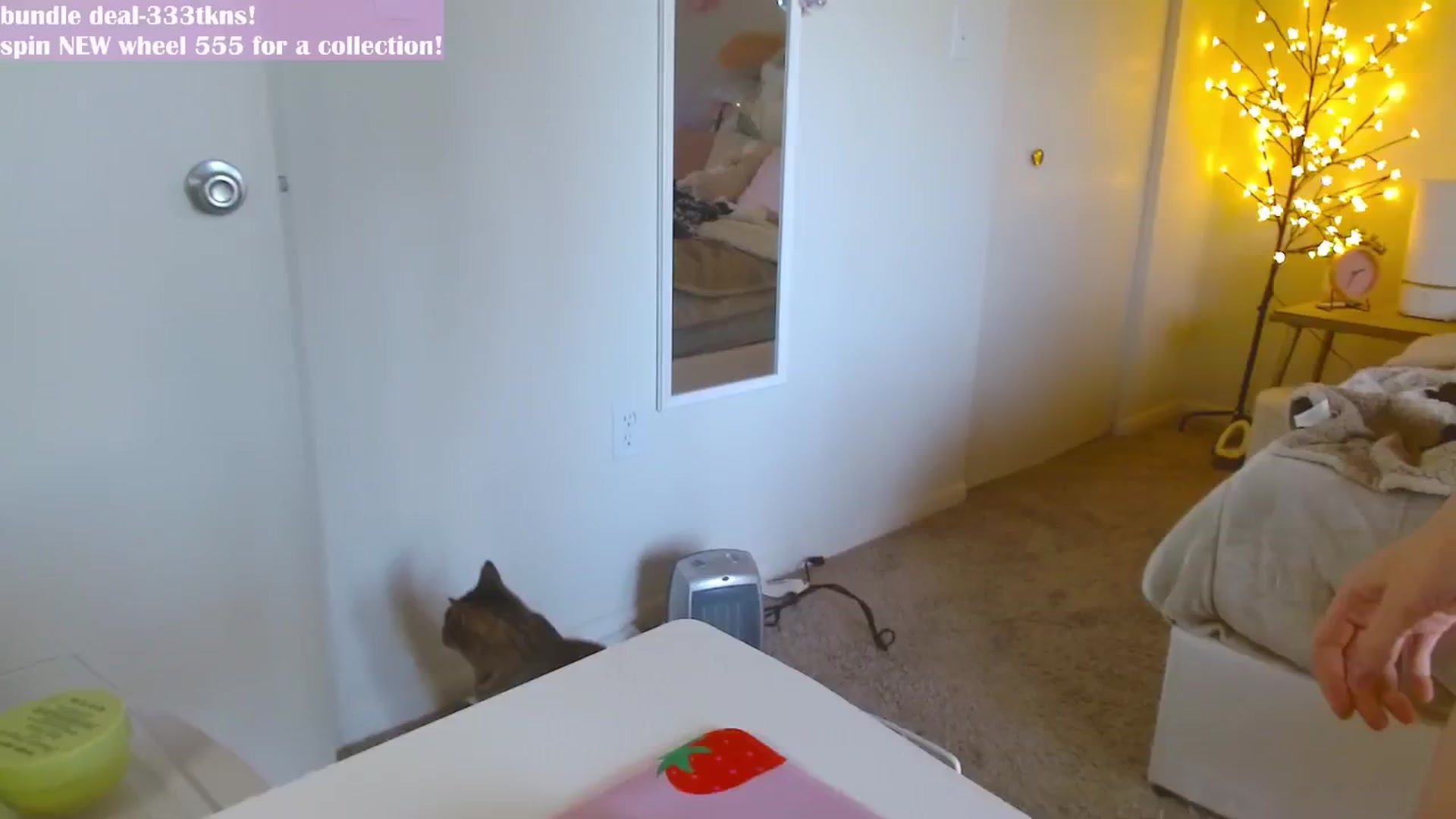 Gallery image thumbnail from MangoMae's myfreecams stream on, 02/25/2024, 19:38 image 18 of 20