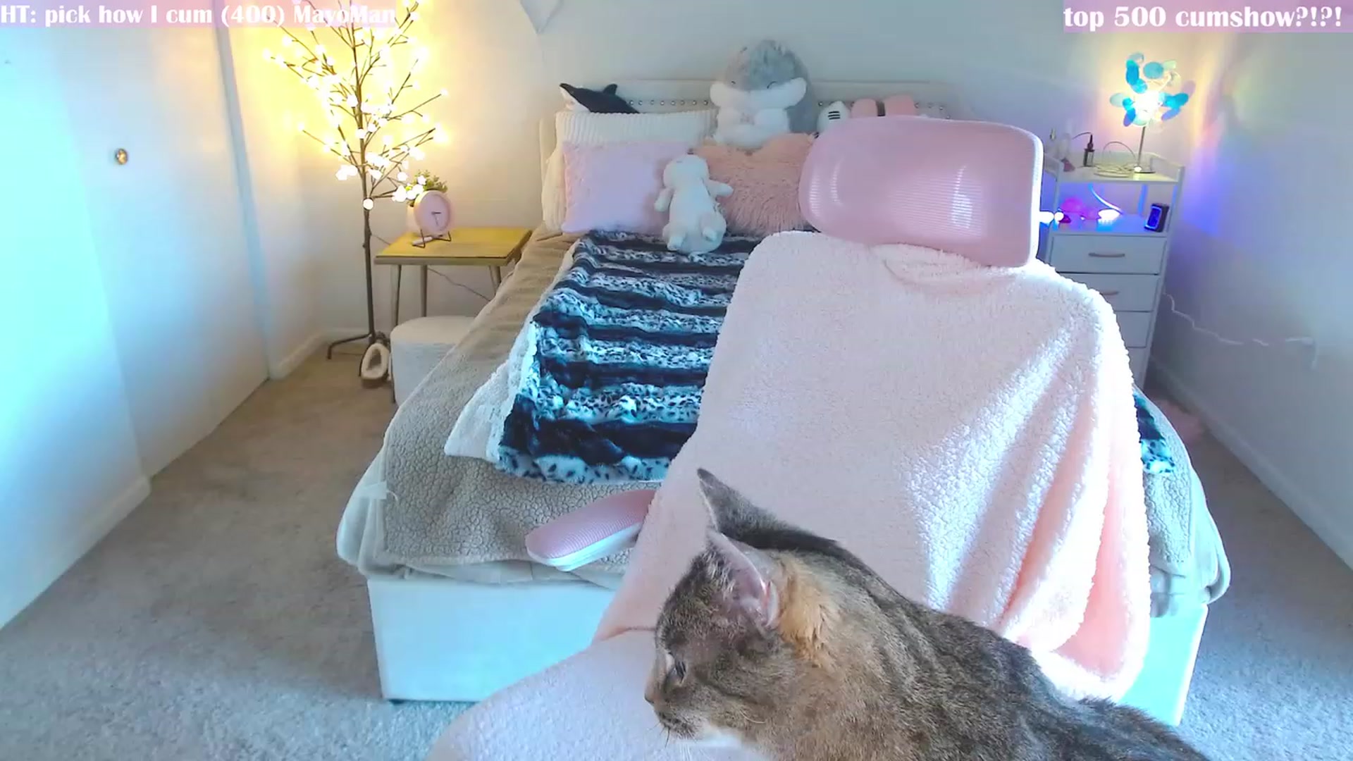 Gallery image thumbnail from MangoMae's myfreecams stream on, 03/01/2024, 21:09 image 2 of 20