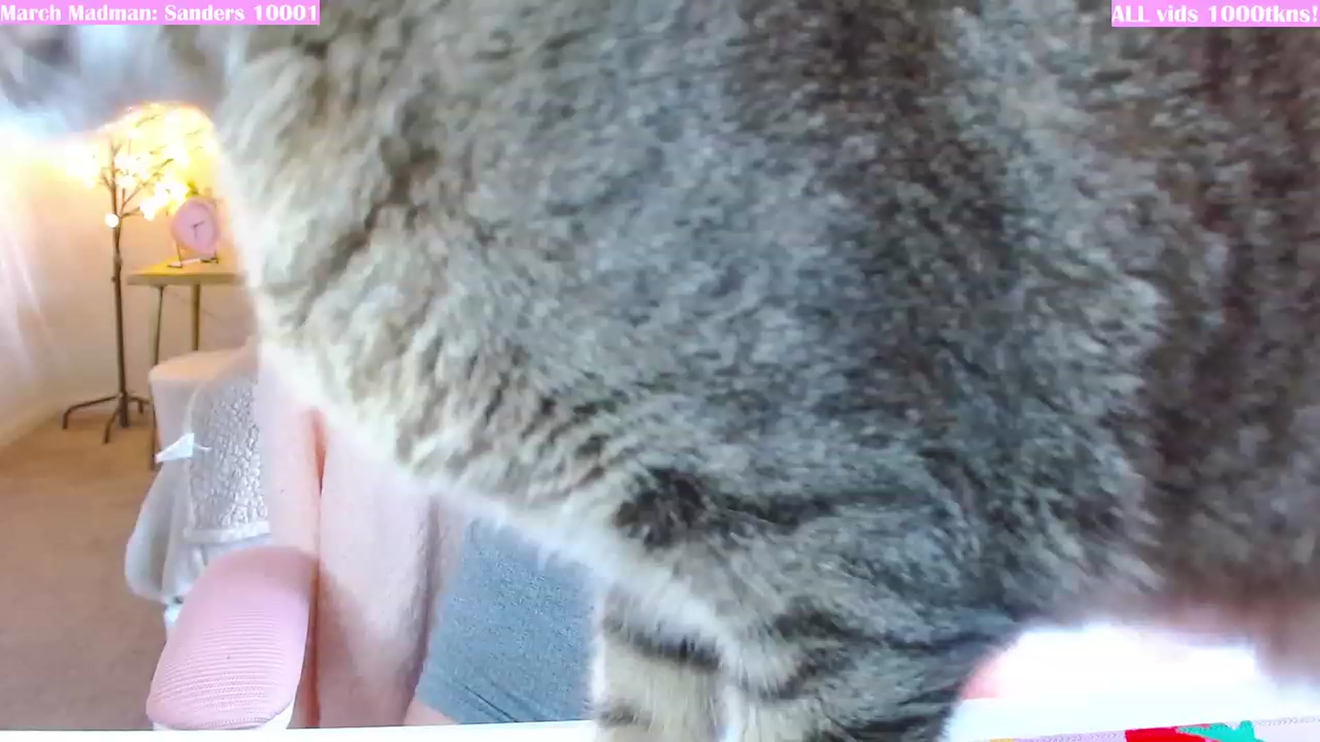 Gallery image thumbnail from MangoMae's myfreecams stream on, 03/16/2024, 18:34 image 18 of 20