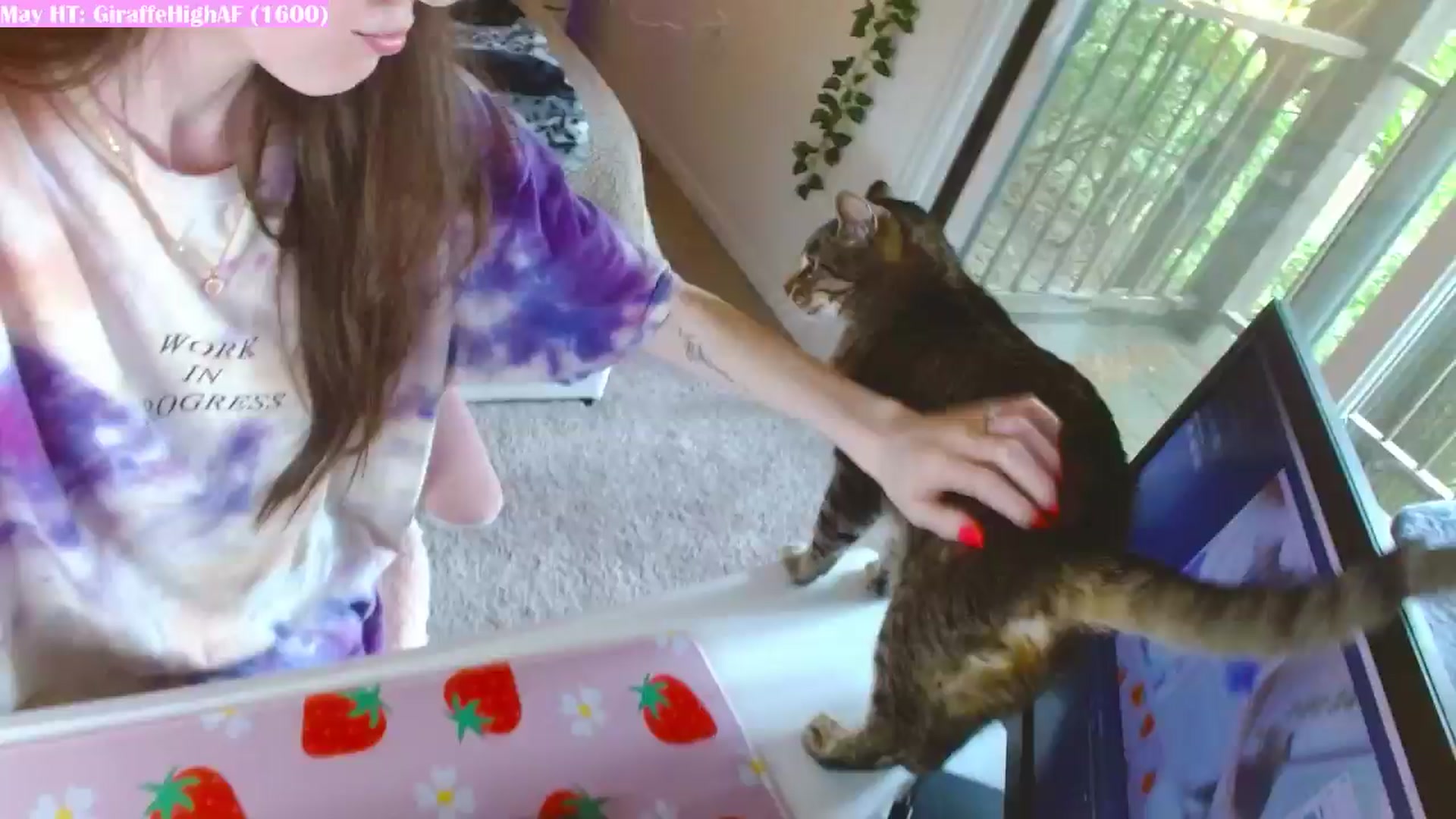 Gallery image thumbnail from MangoMae's myfreecams stream on, 05/19/2024, 15:16 image 9 of 20