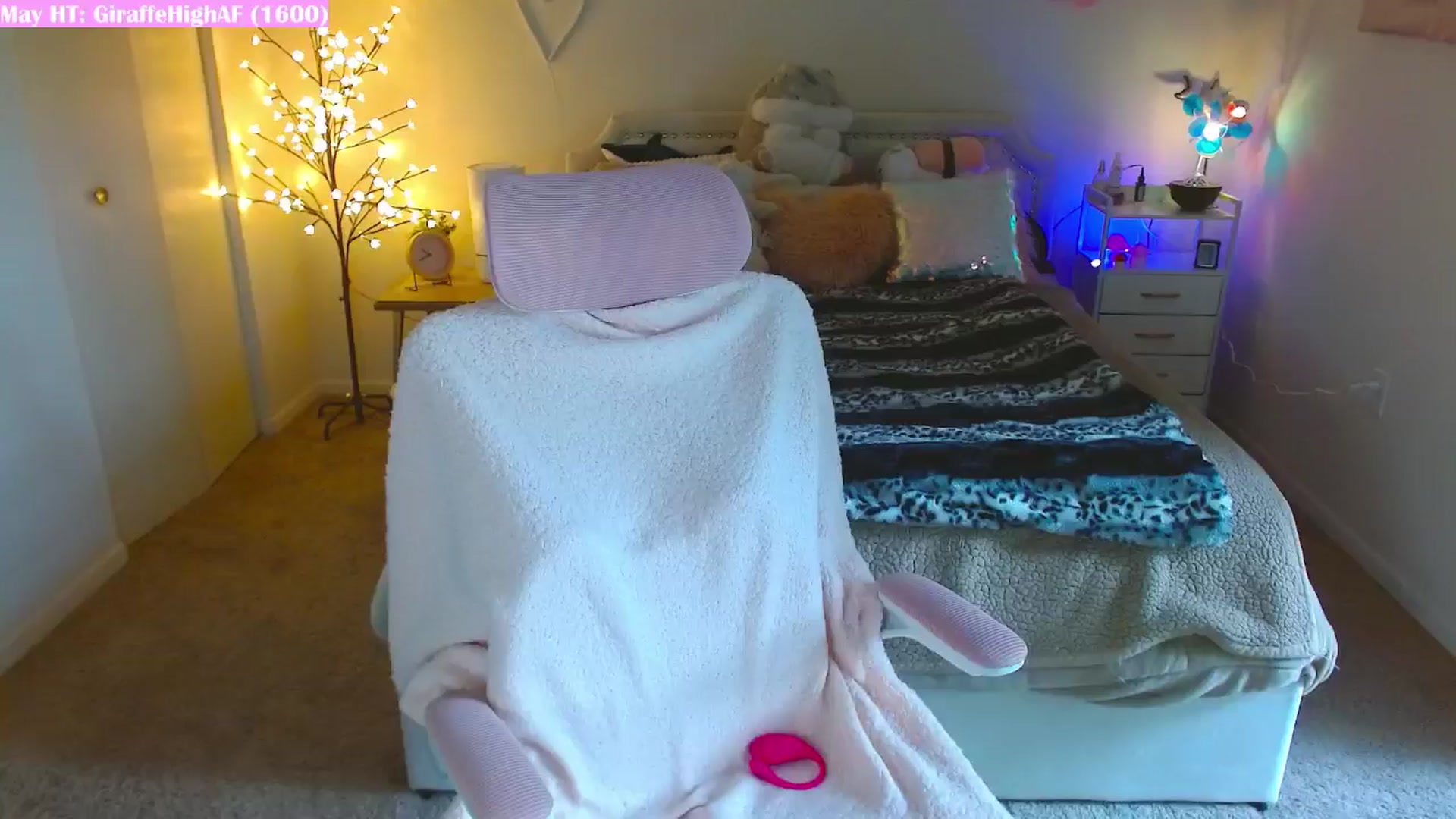 Gallery image thumbnail from MangoMae's myfreecams stream on, 05/19/2024, 15:16 image 1 of 20