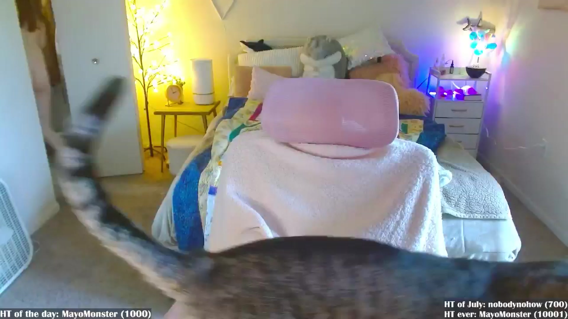 Gallery image thumbnail from MangoMae's myfreecams stream on, 07/05/2024, 19:11 image 4 of 20