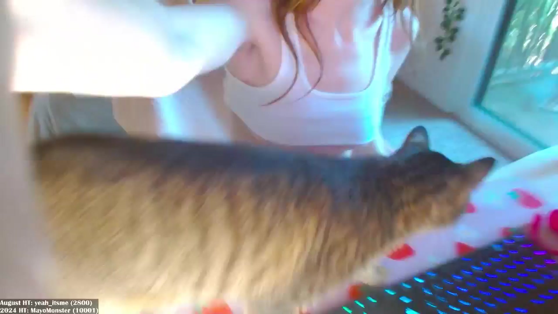 Gallery image thumbnail from MangoMae's myfreecams stream on, 08/04/2024, 17:02 image 6 of 20
