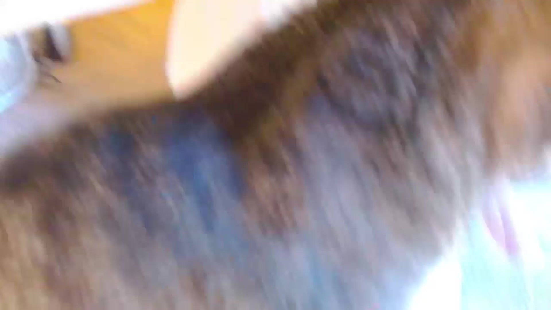 Gallery image thumbnail from MangoMae's myfreecams stream on, 09/16/2024, 17:12 image 10 of 20