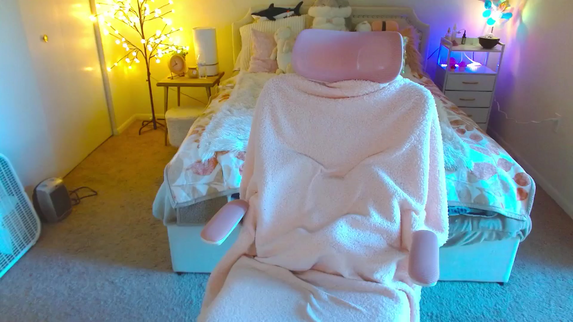 Gallery image thumbnail from MangoMae's myfreecams stream on, 10/08/2024, 19:04 image 14 of 20
