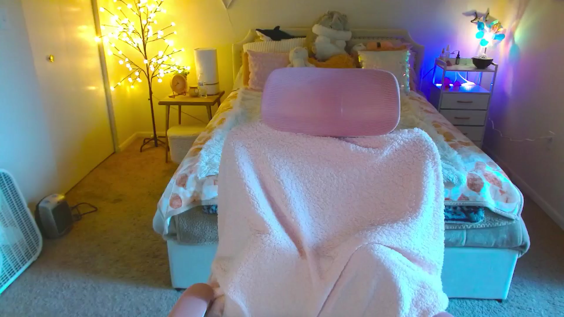 Gallery image thumbnail from MangoMae's myfreecams stream on, 10/14/2024, 22:10 image 12 of 20