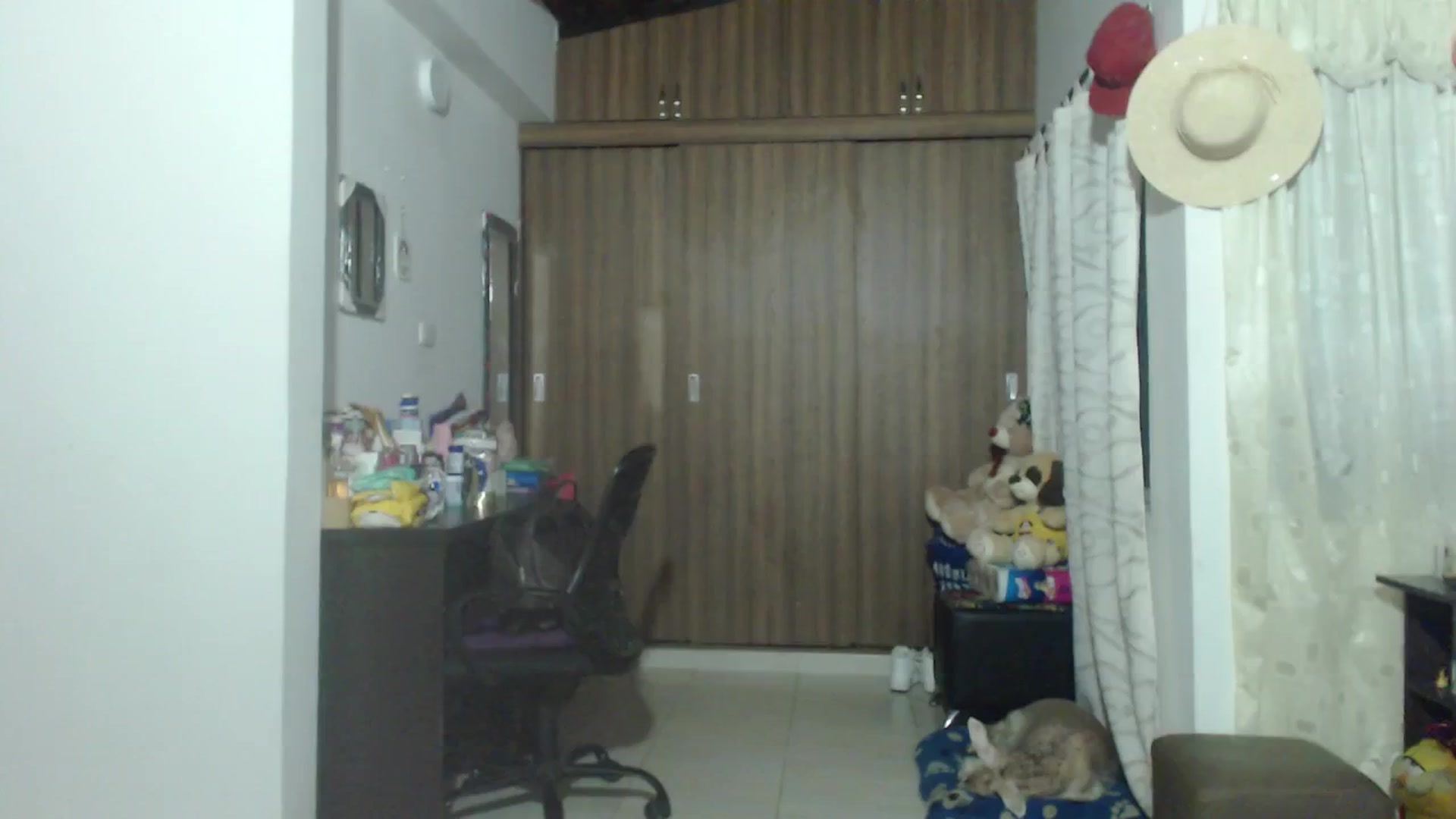 Gallery image thumbnail from Mao02's myfreecams stream on, 06/05/2024, 08:42 image 4 of 20