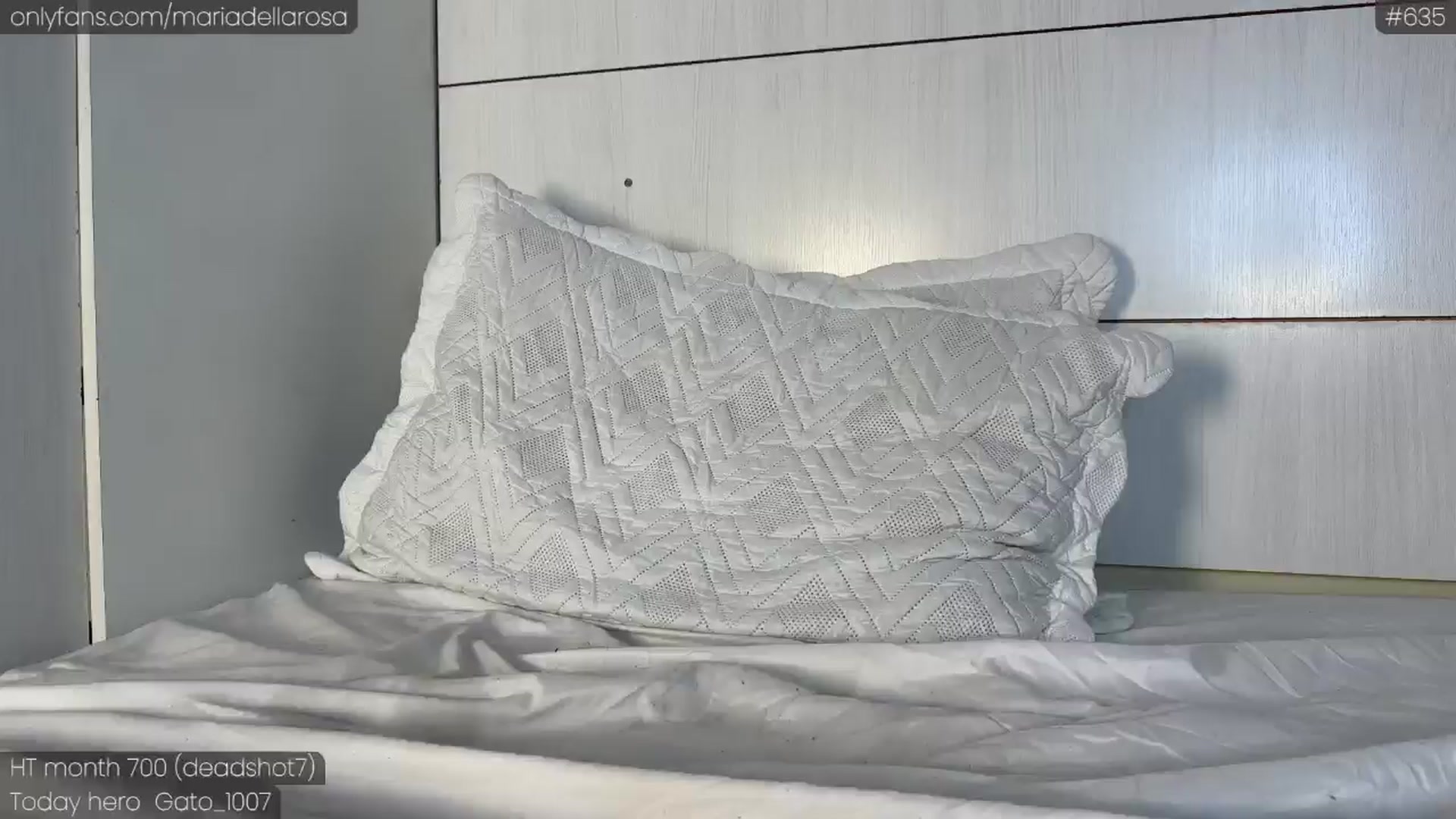 Gallery image thumbnail from Maria_'s myfreecams stream on, 10/14/2024, 04:06 image 2 of 20