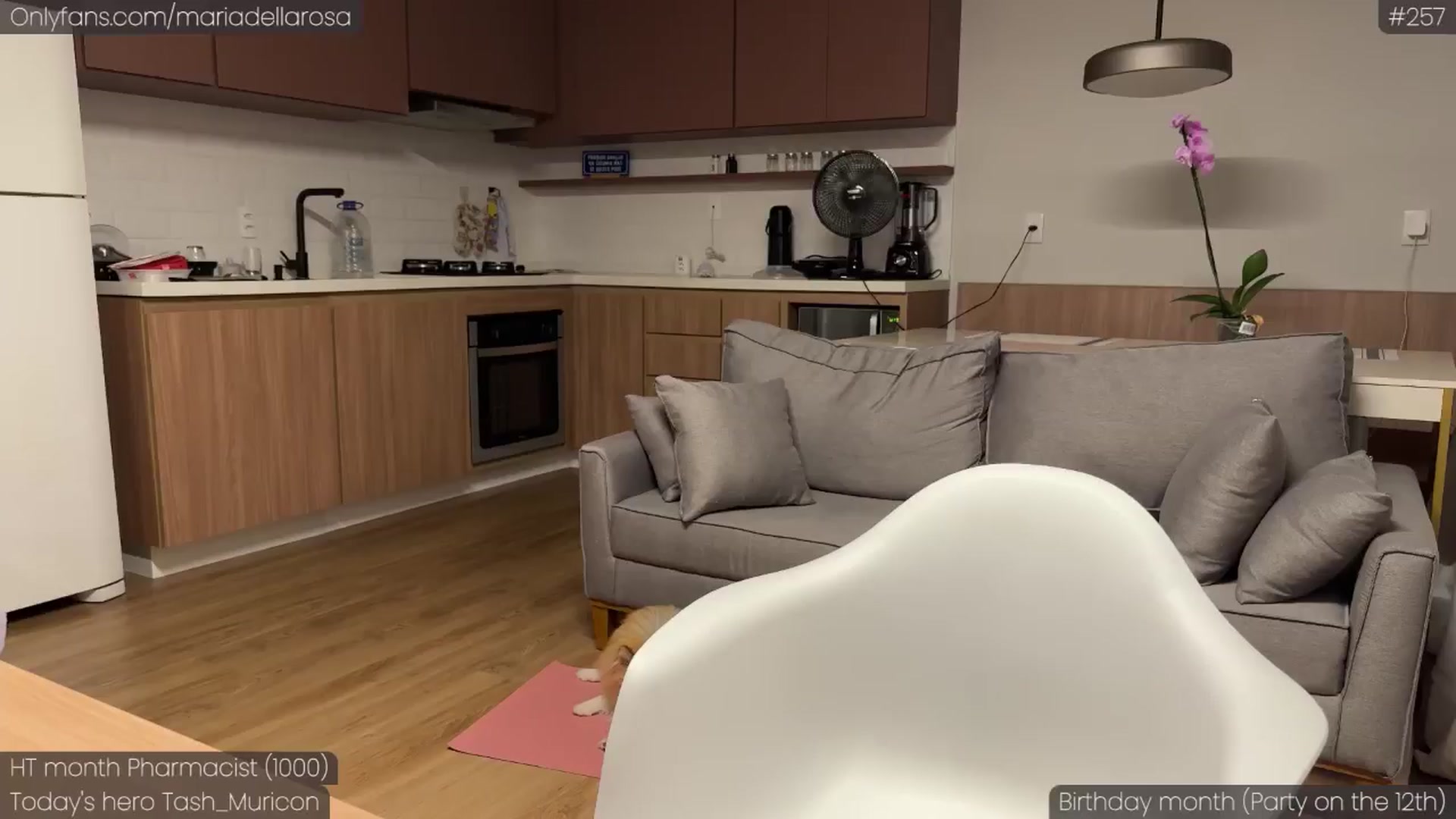 Gallery image thumbnail from Maria_Bday's myfreecams stream on, 01/12/2025, 02:25 image 7 of 20