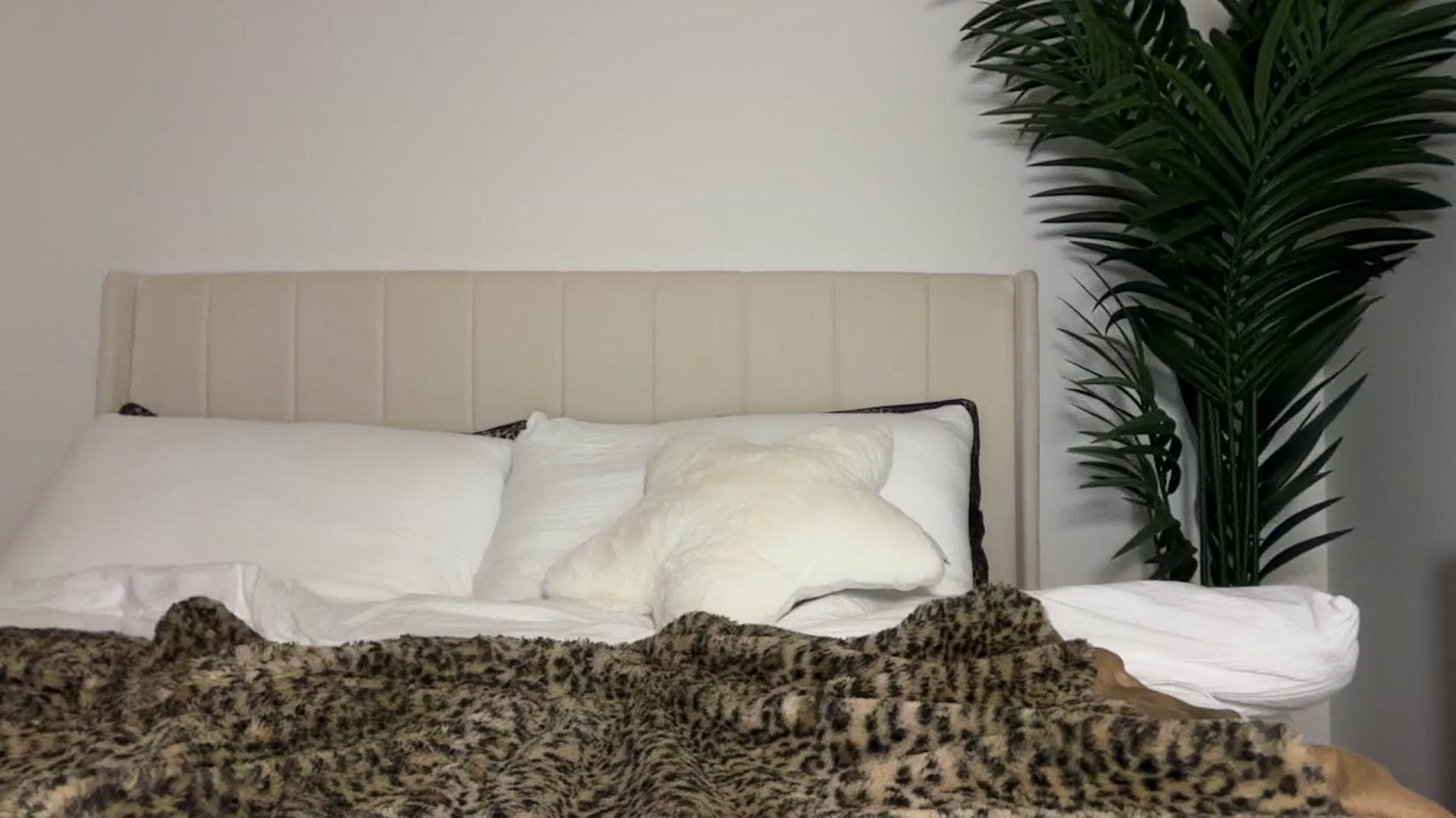 Gallery image thumbnail from Maria_x1's myfreecams stream on, 12/07/2025, 02:34 image 20 of 20