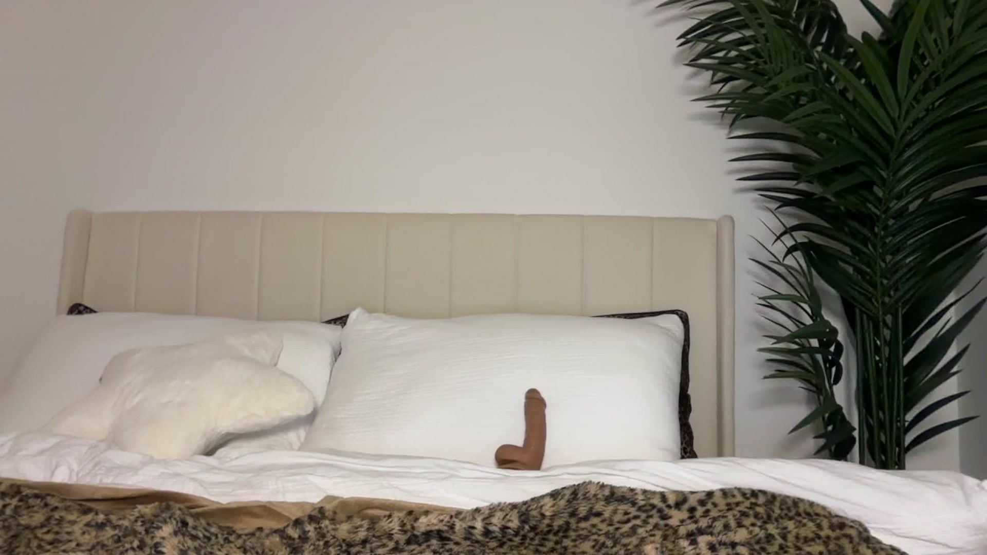 Gallery image thumbnail from Maria_x1's myfreecams stream on, 12/07/2025, 02:34 image 4 of 20