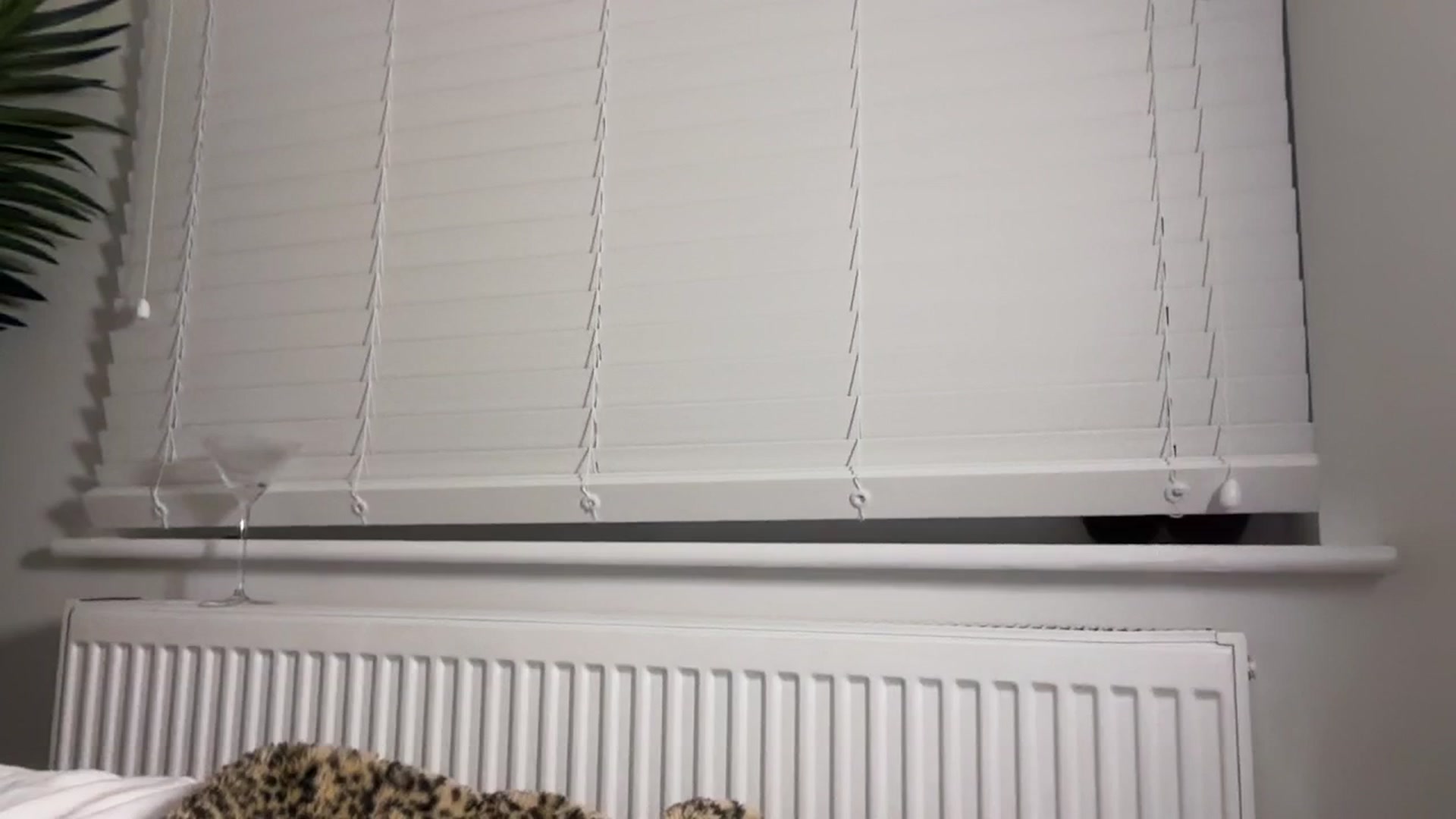 Gallery image thumbnail from Maria_x1's myfreecams stream on, 12/16/2025, 03:17 image 18 of 20