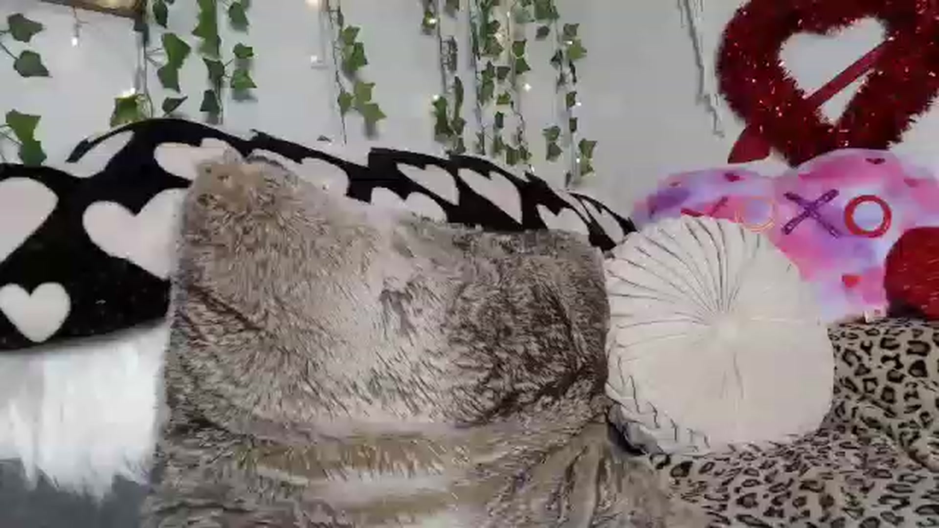 Gallery image thumbnail from MariahKay's myfreecams stream on, 02/09/2023, 21:04 image 6 of 20