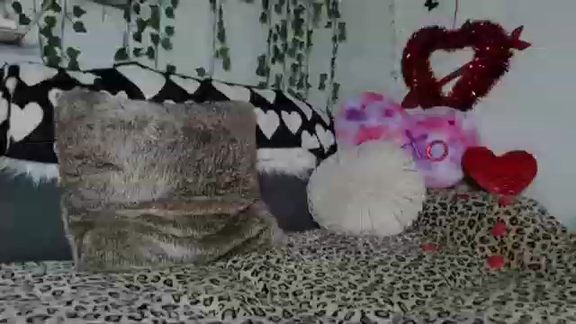 Gallery image thumbnail from MariahKay's myfreecams stream on, 02/14/2023, 20:56 image 6 of 20
