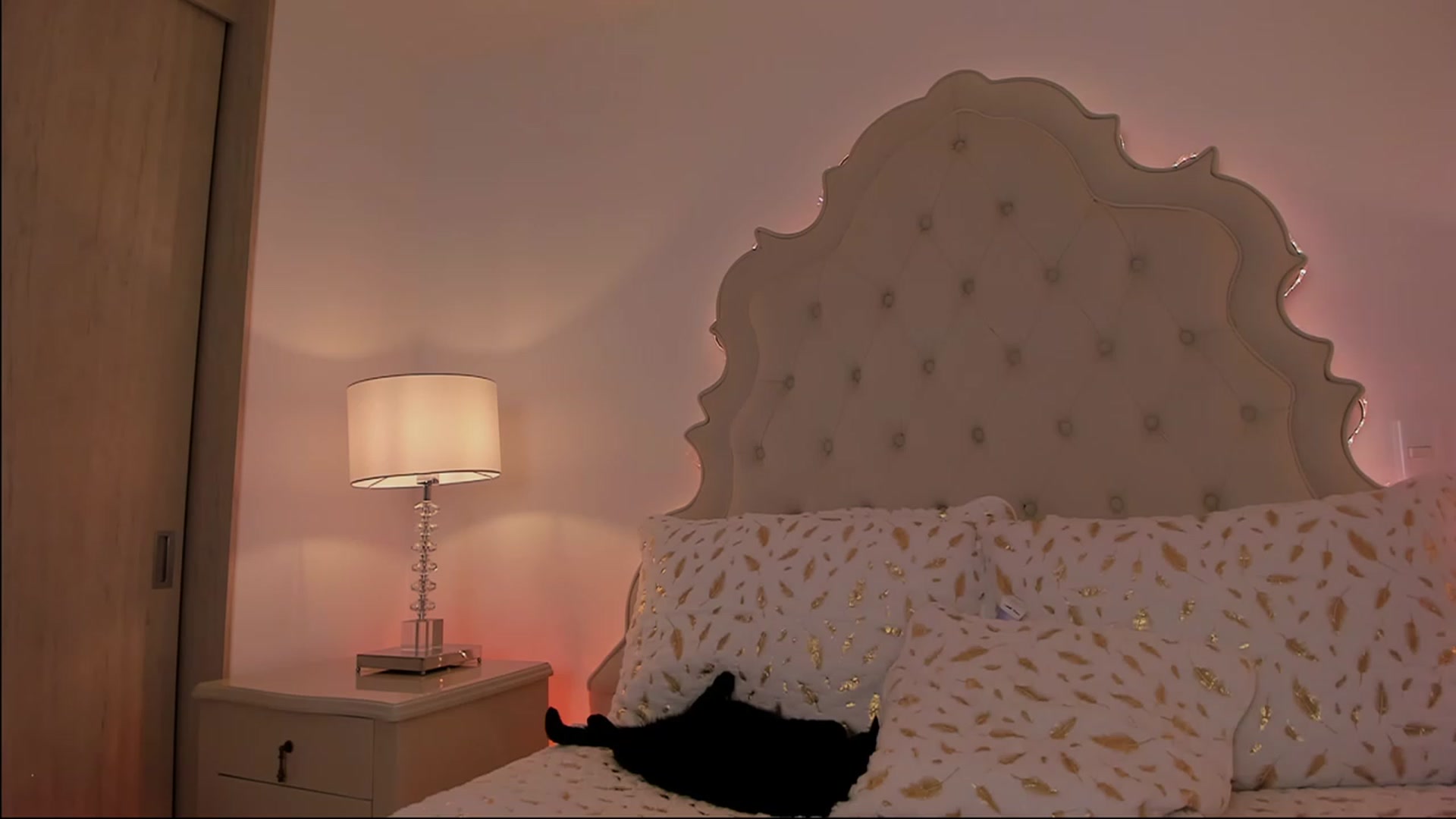 Gallery image thumbnail from Marianviolet's myfreecams stream on, 12/12/2022, 07:02 image 18 of 20