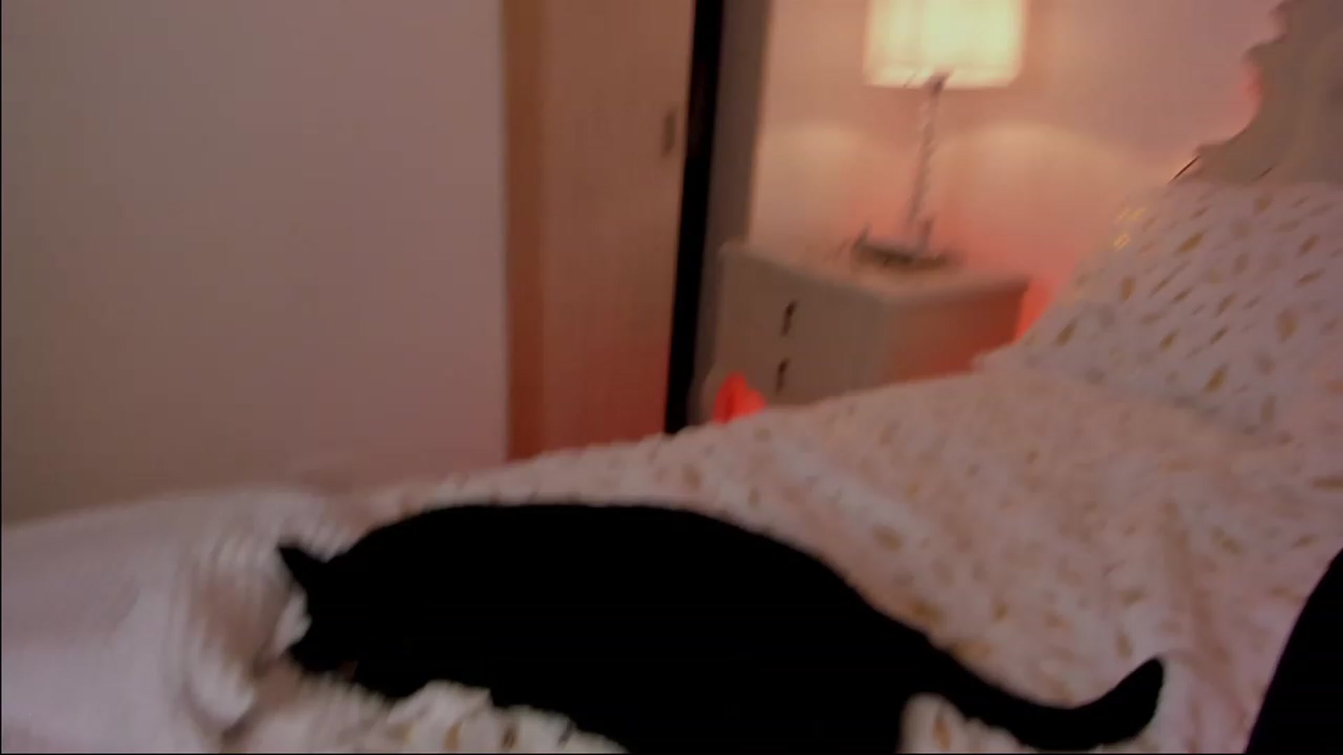 Gallery image thumbnail from Marianviolet's myfreecams stream on, 12/25/2022, 08:54 image 8 of 20