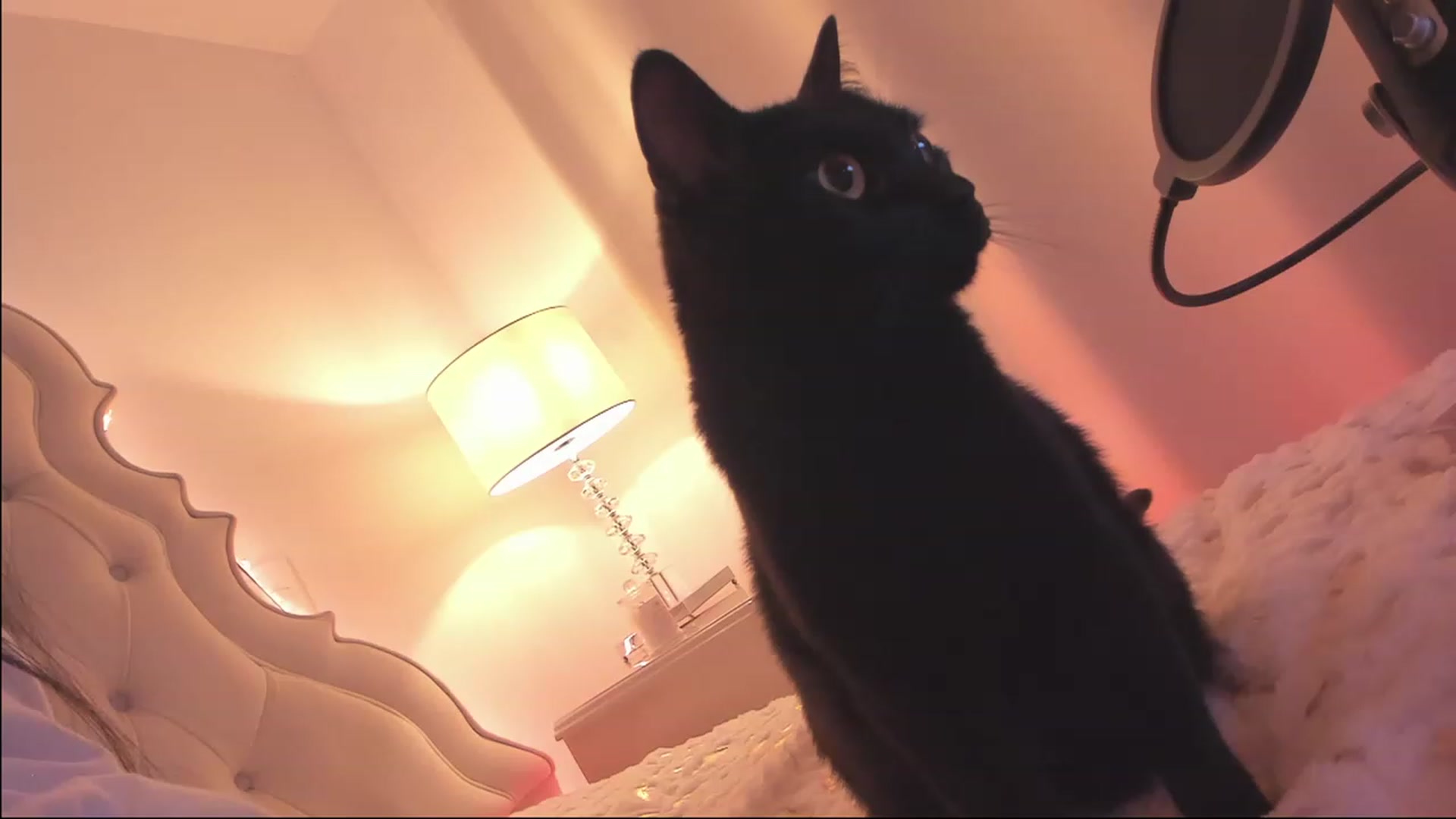 Gallery image thumbnail from Marianviolet's myfreecams stream on, 01/18/2023, 10:40 image 12 of 20