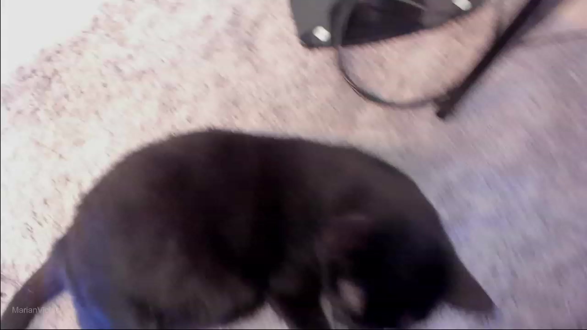 Gallery image thumbnail from Marianviolet's myfreecams stream on, 08/05/2023, 10:23 image 12 of 20