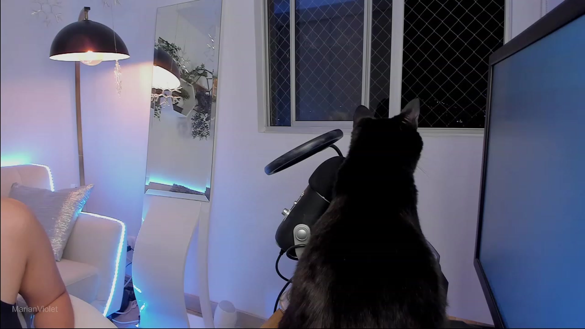 Gallery image thumbnail from Marianviolet's myfreecams stream on, 08/21/2023, 10:17 image 1 of 20