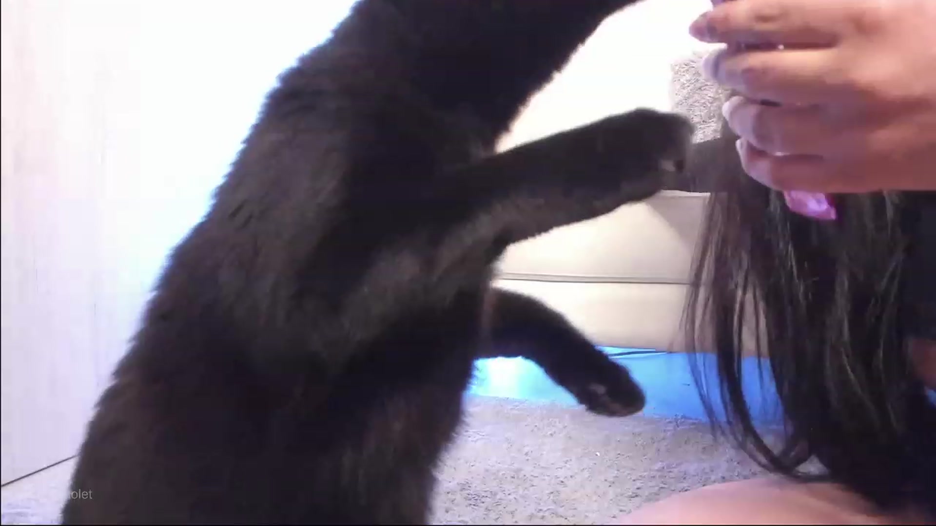 Gallery image thumbnail from Marianviolet's myfreecams stream on, 12/05/2023, 09:13 image 3 of 20