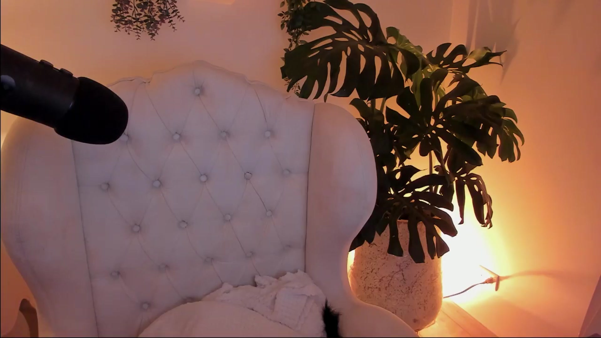 Gallery image thumbnail from Marianviolet's myfreecams stream on, 03/26/2024, 08:39 image 18 of 20