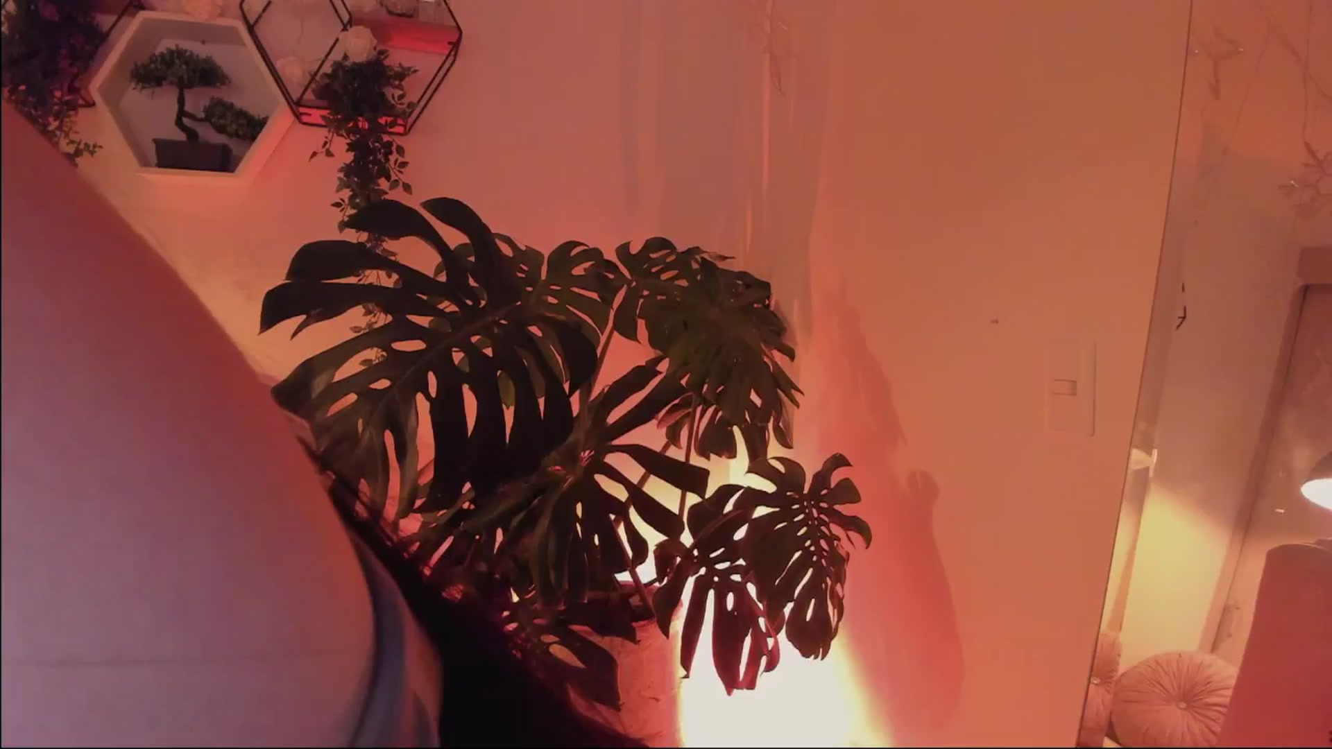 Gallery image thumbnail from Marianviolet's myfreecams stream on, 08/03/2024, 09:47 image 13 of 20