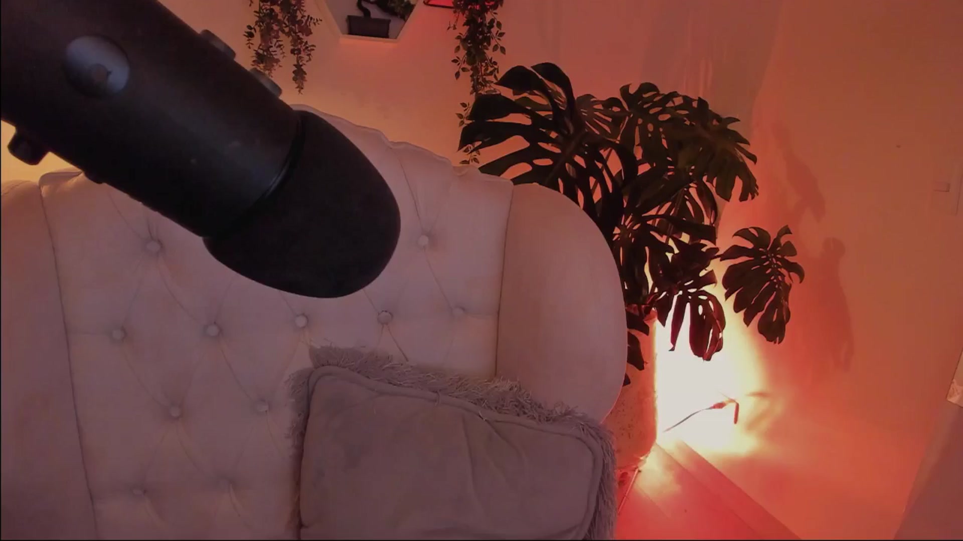 Gallery image thumbnail from Marianviolet's myfreecams stream on, 08/25/2024, 08:26 image 20 of 20