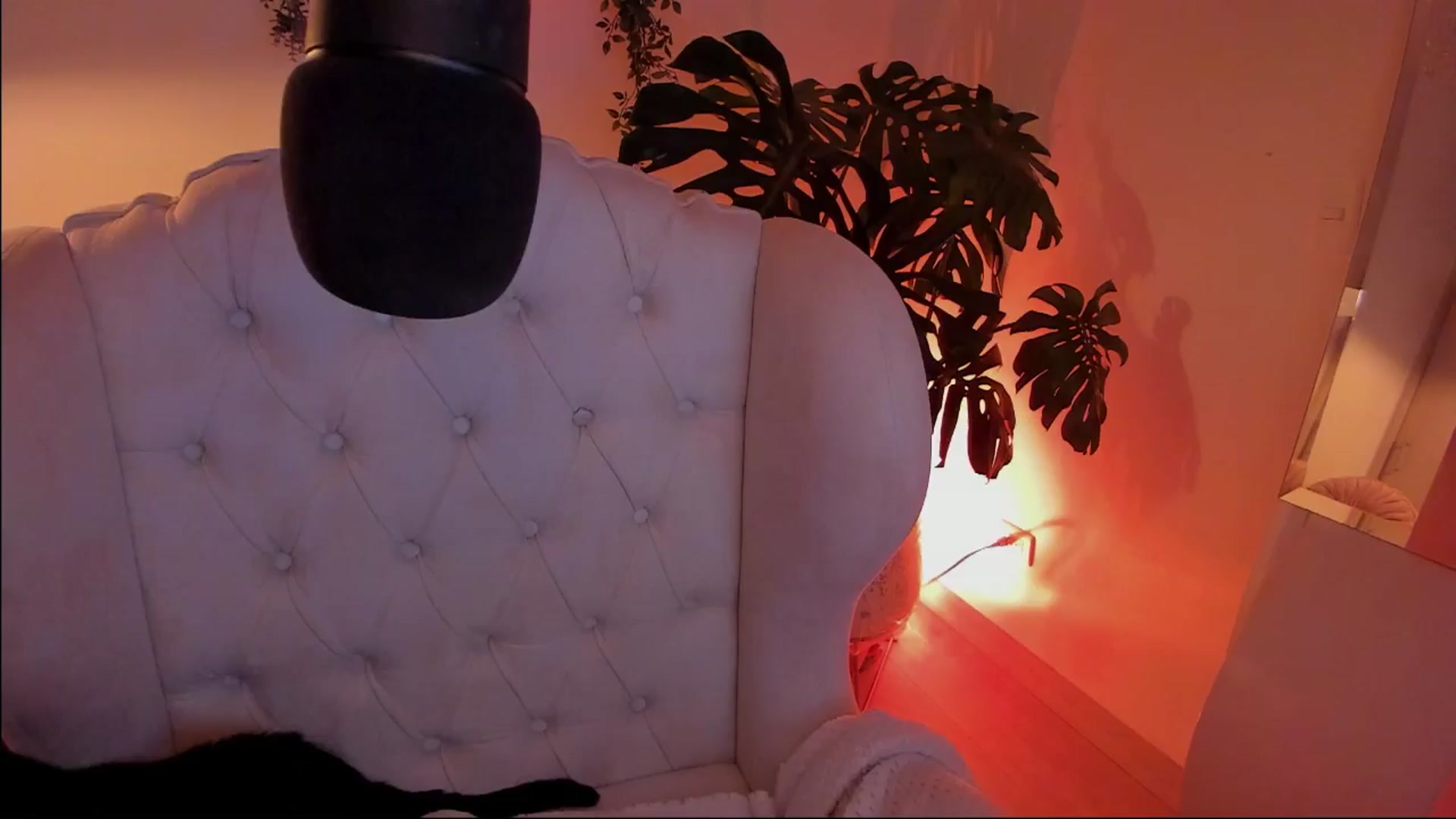 Gallery image thumbnail from Marianviolet's myfreecams stream on, 08/31/2024, 08:09 image 18 of 20