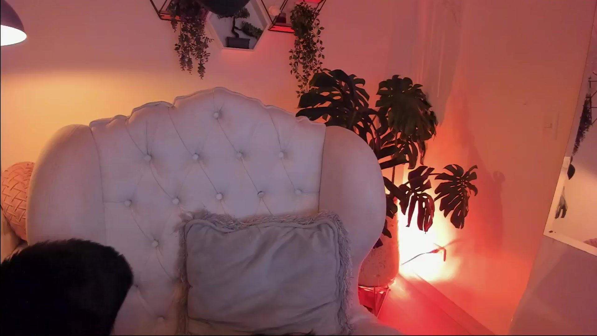 Gallery image thumbnail from Marianviolet's myfreecams stream on, 11/15/2024, 10:28 image 3 of 20