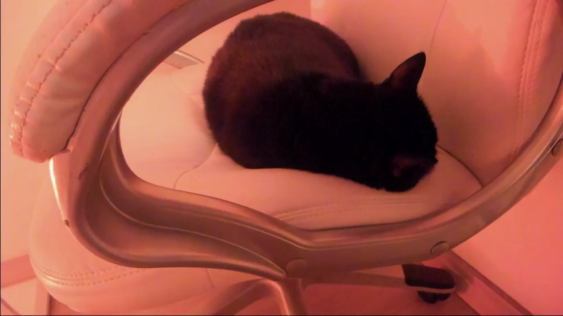 Gallery image thumbnail from Marianviolet's myfreecams stream on, 11/16/2024, 09:33 image 1 of 20