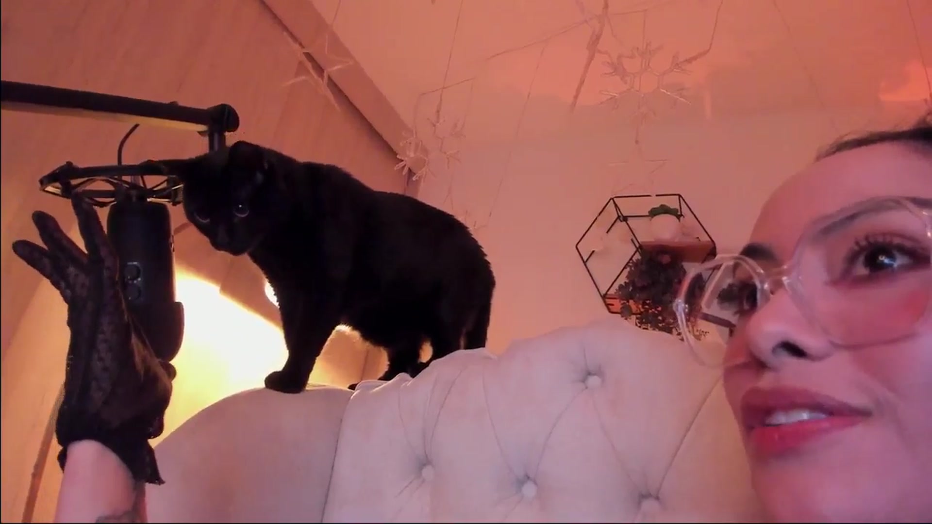 Gallery image thumbnail from Marianviolet's myfreecams stream on, 11/30/2024, 10:04 image 14 of 20